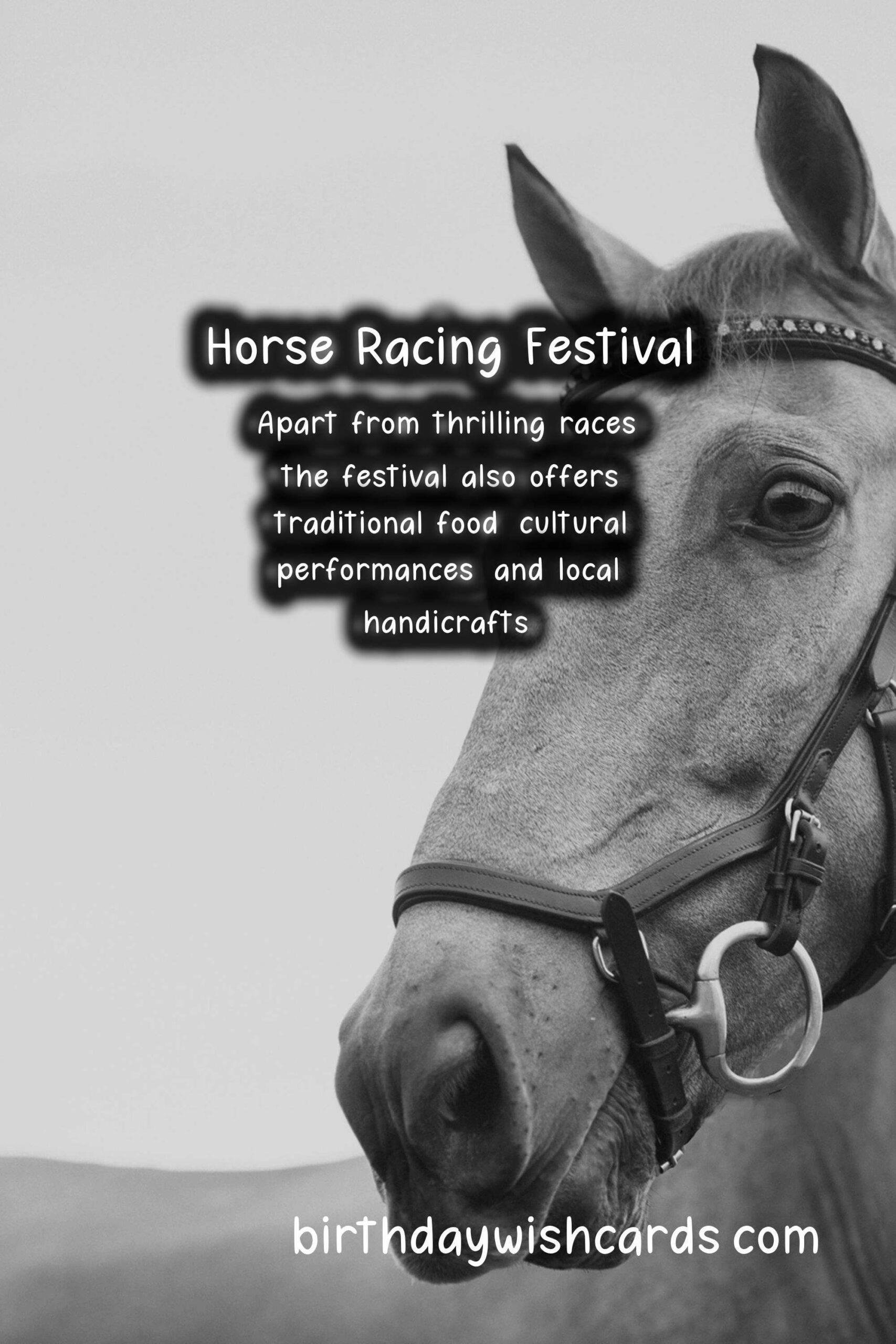 All You Need to Know About the Annual Horse Racing Festival in April