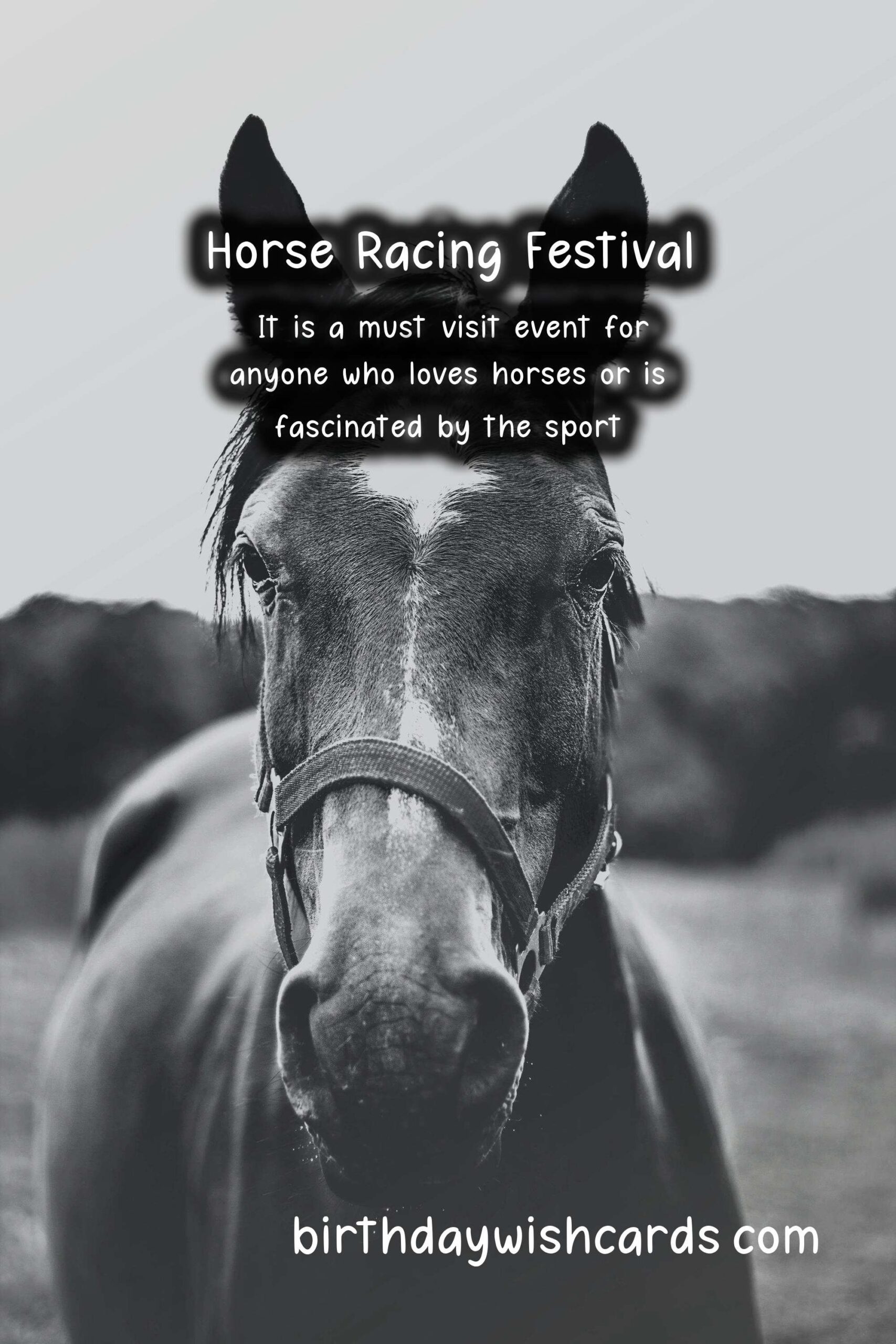 All You Need to Know About the Annual Horse Racing Festival in April