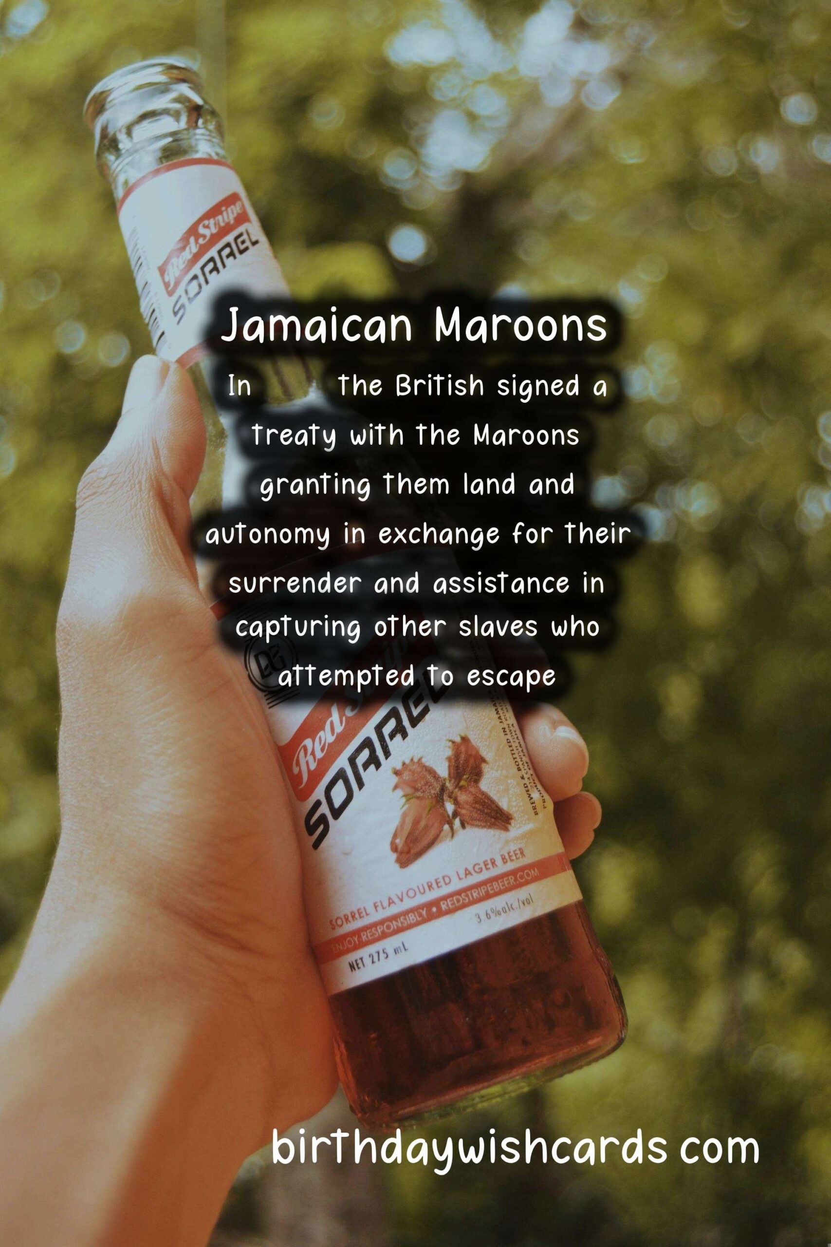 Aluku and Tupuk - Maroon Day (10th October): Celebrating the Enduring Legacy