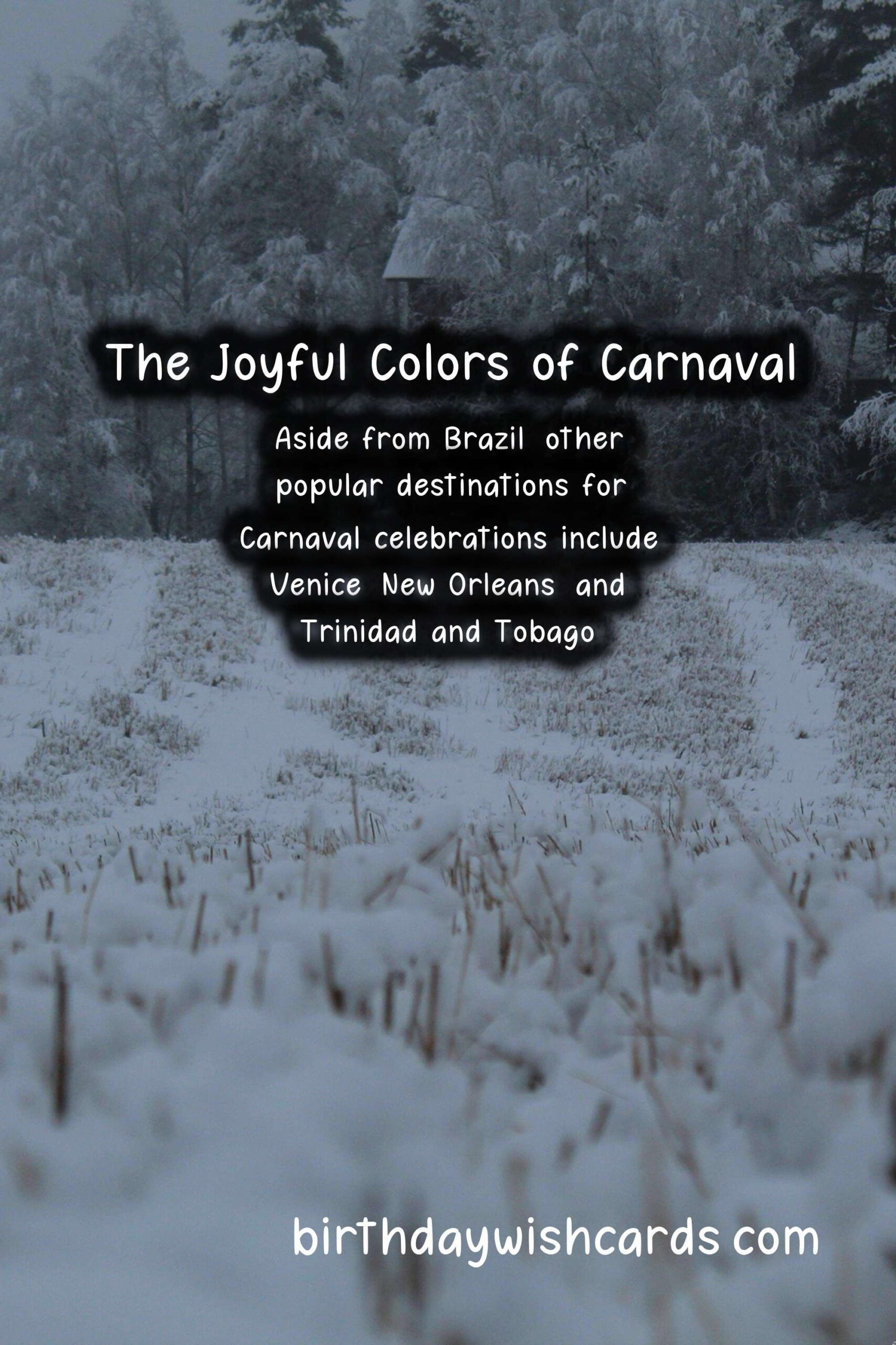 Carnaval (February) - A Celebration of Joy and Color