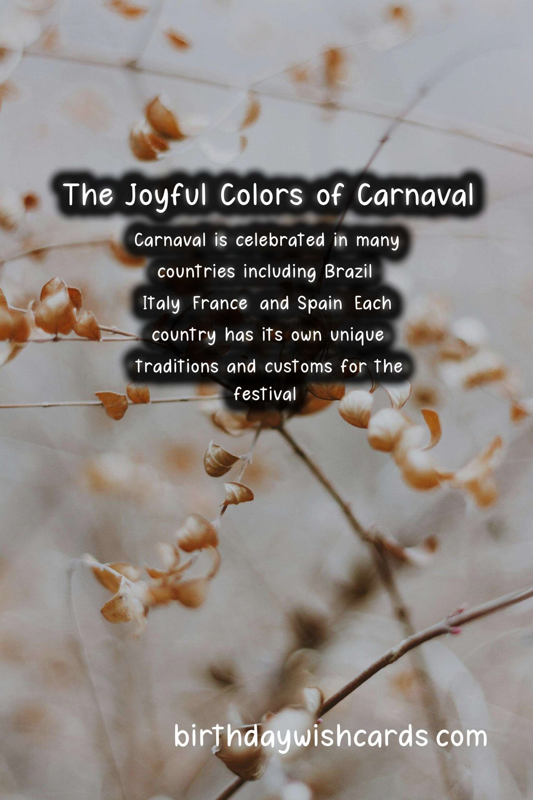 Carnaval (February) - A Celebration of Joy and Color