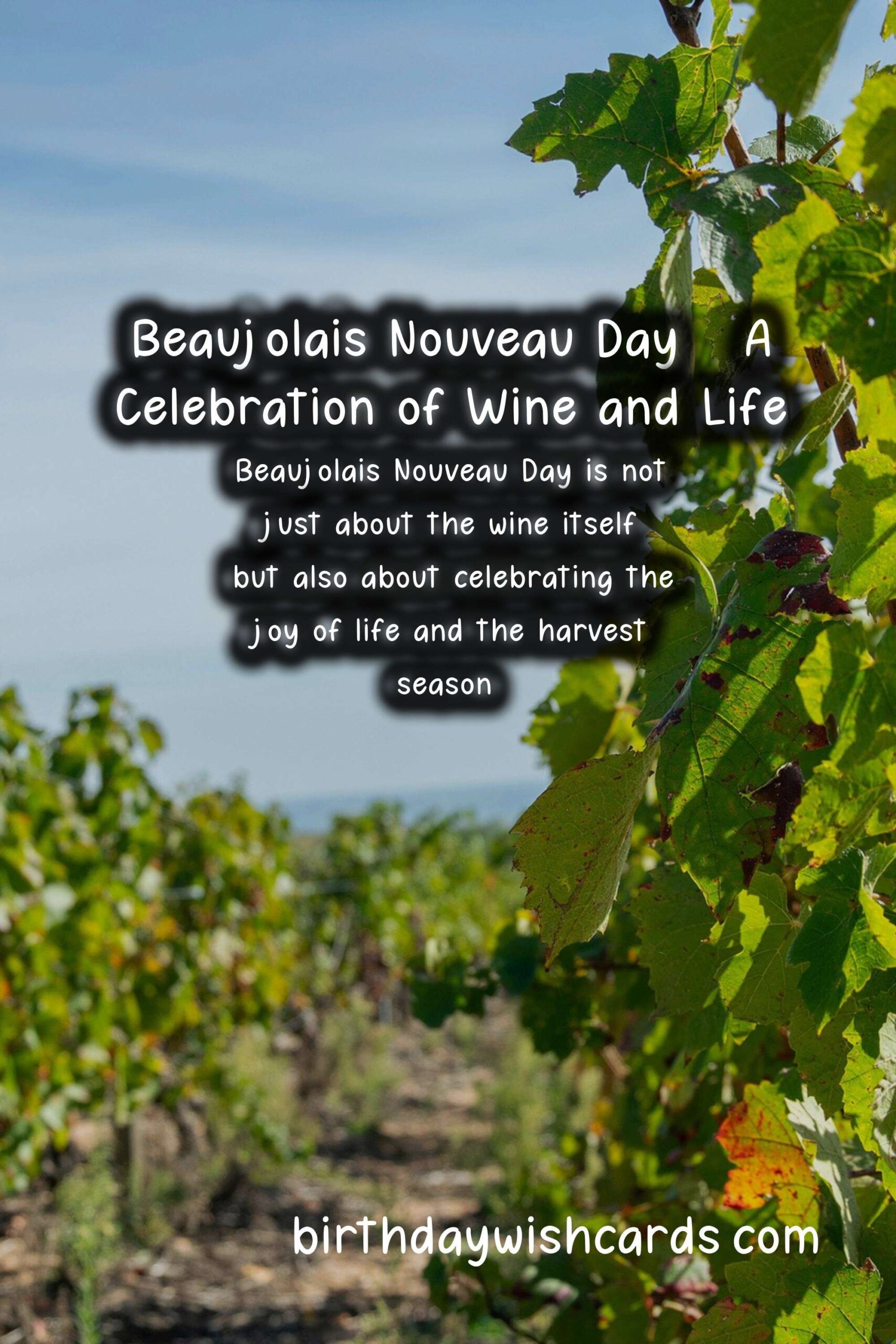 Celebrate Beaujolais Nouveau Day This November