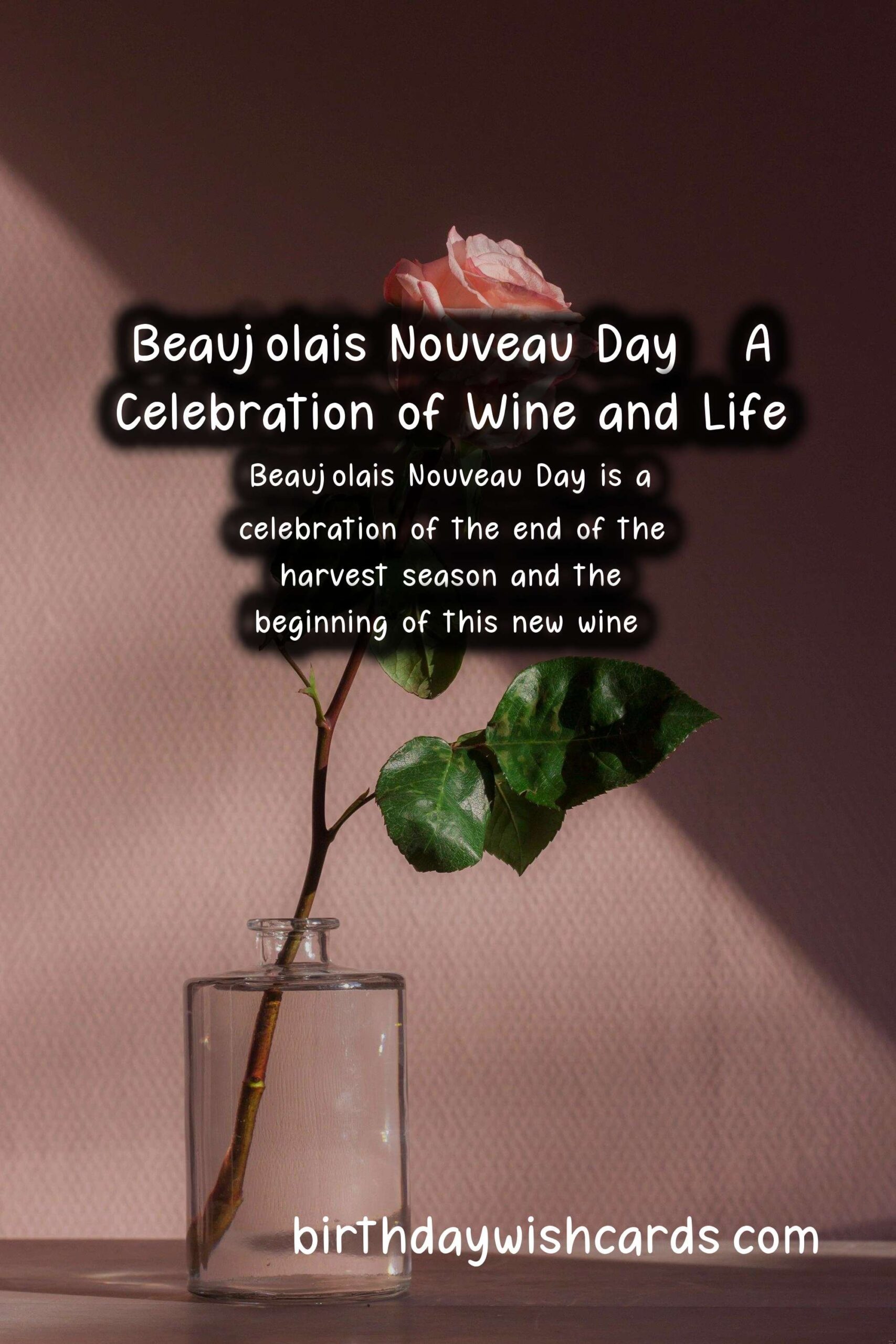 Celebrate Beaujolais Nouveau Day This November