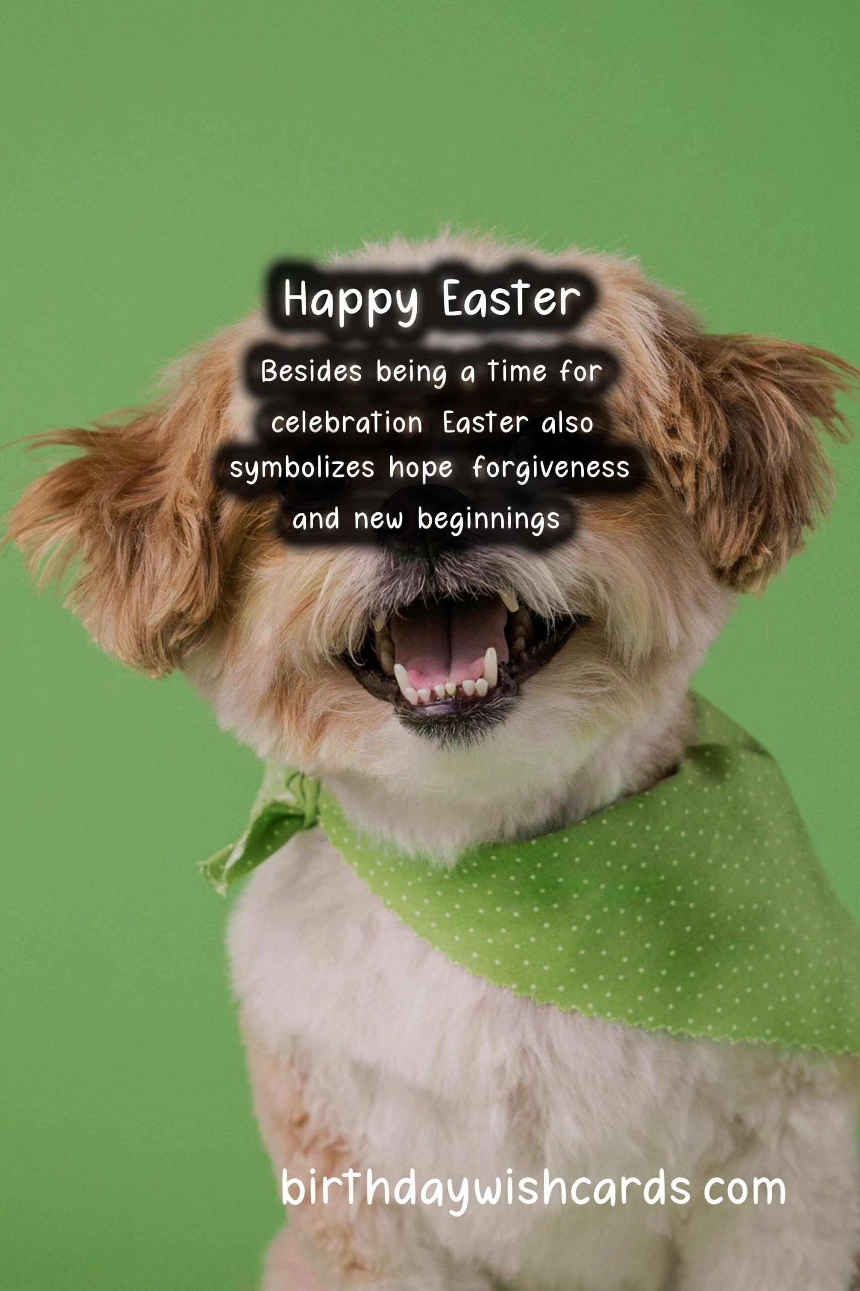Celebrate Easter in the Month of March to April
