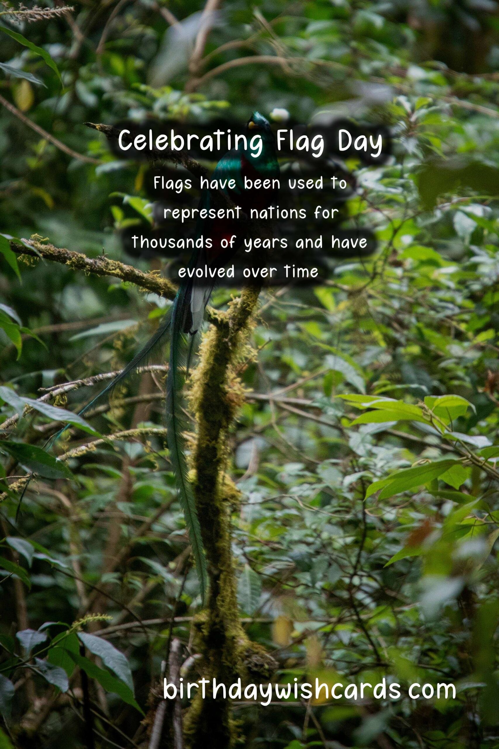 Celebrate Flag Day on February 14: A Guide to Understanding and Honoring This Patriotic Holiday
