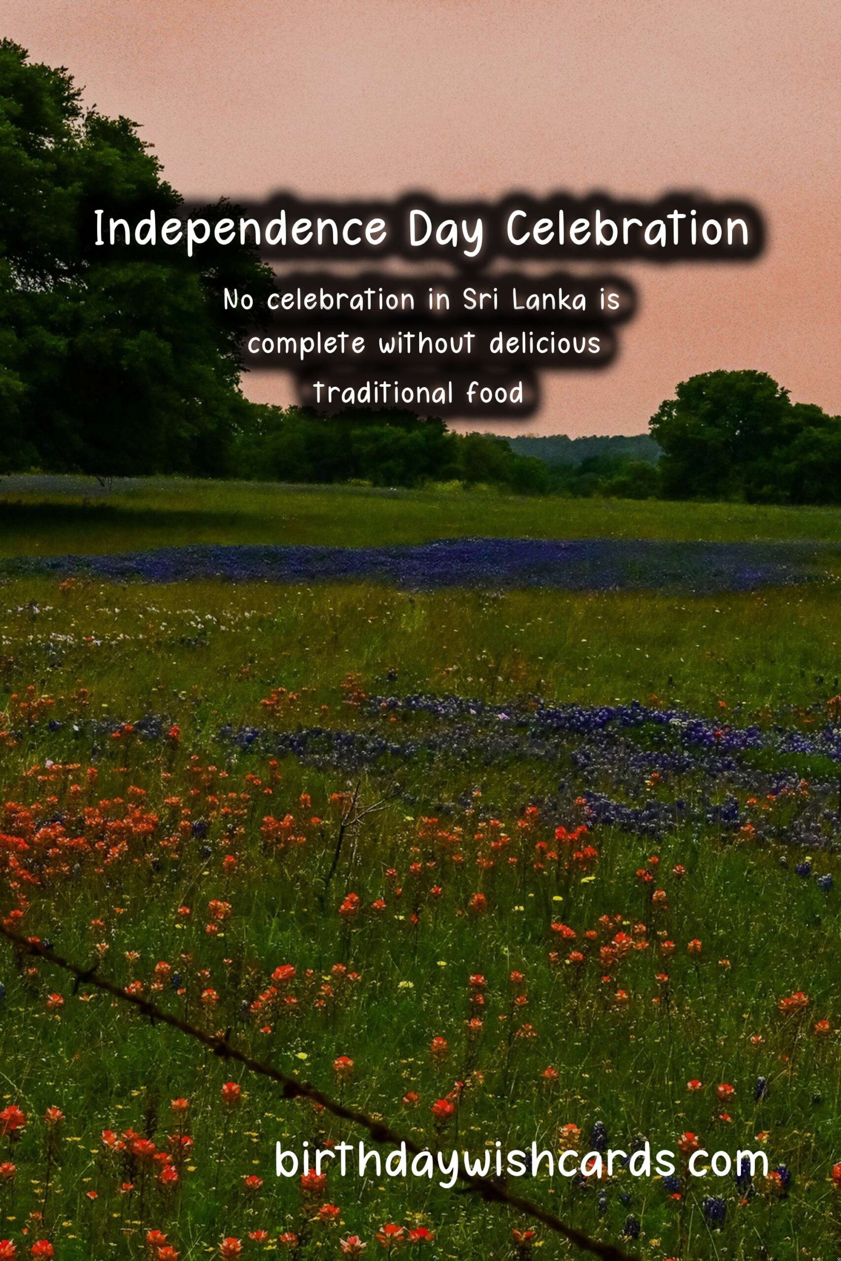 Celebrate Independence Day - February 4th