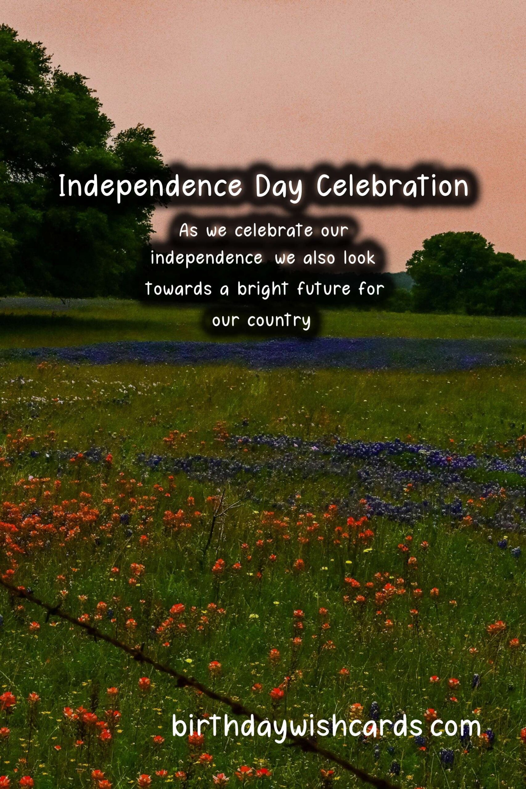 Celebrate Independence Day - February 4th