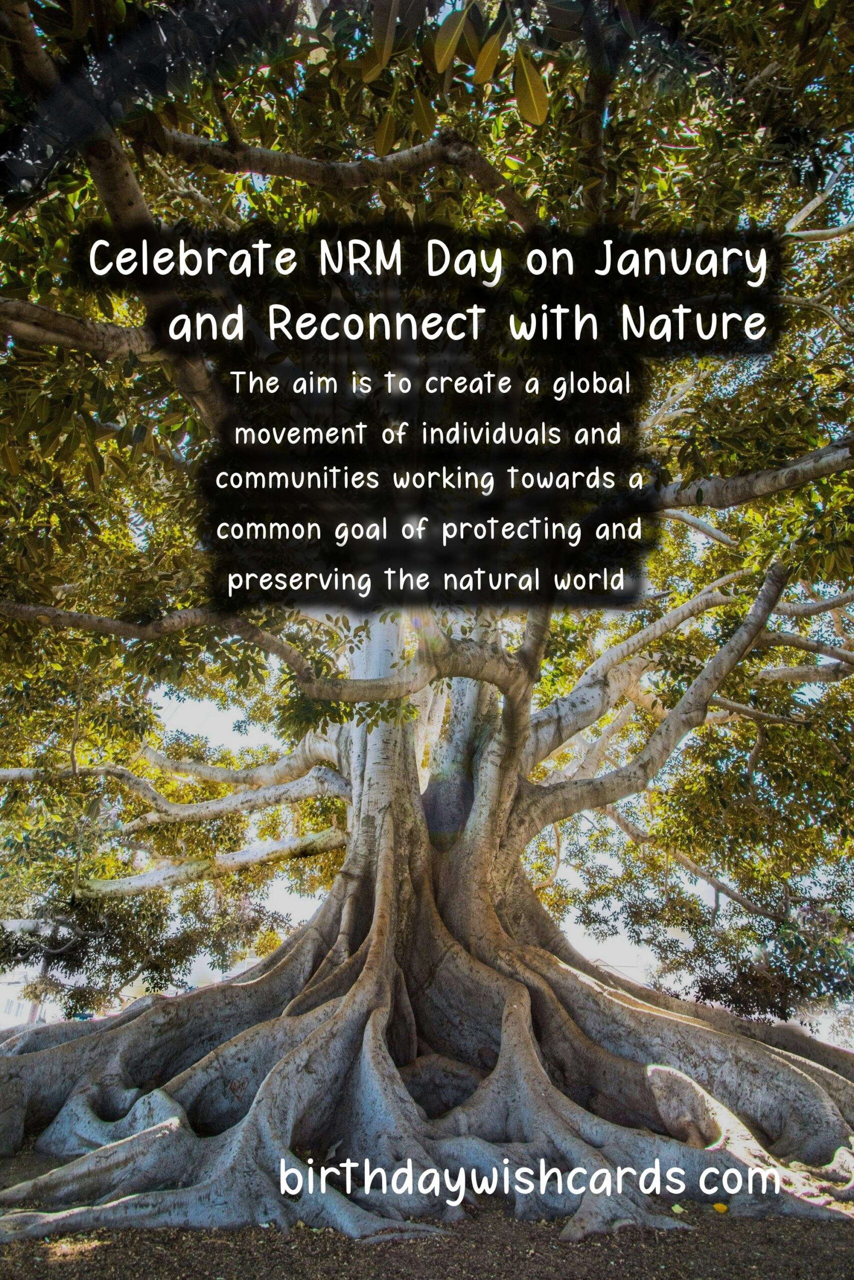 Celebrate NRM Day on January 26 and Reconnect with Nature