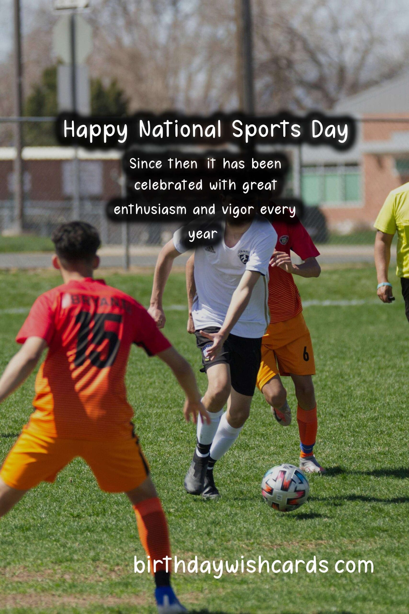 Celebrate National Sports Day on February 12 with These Festivities
