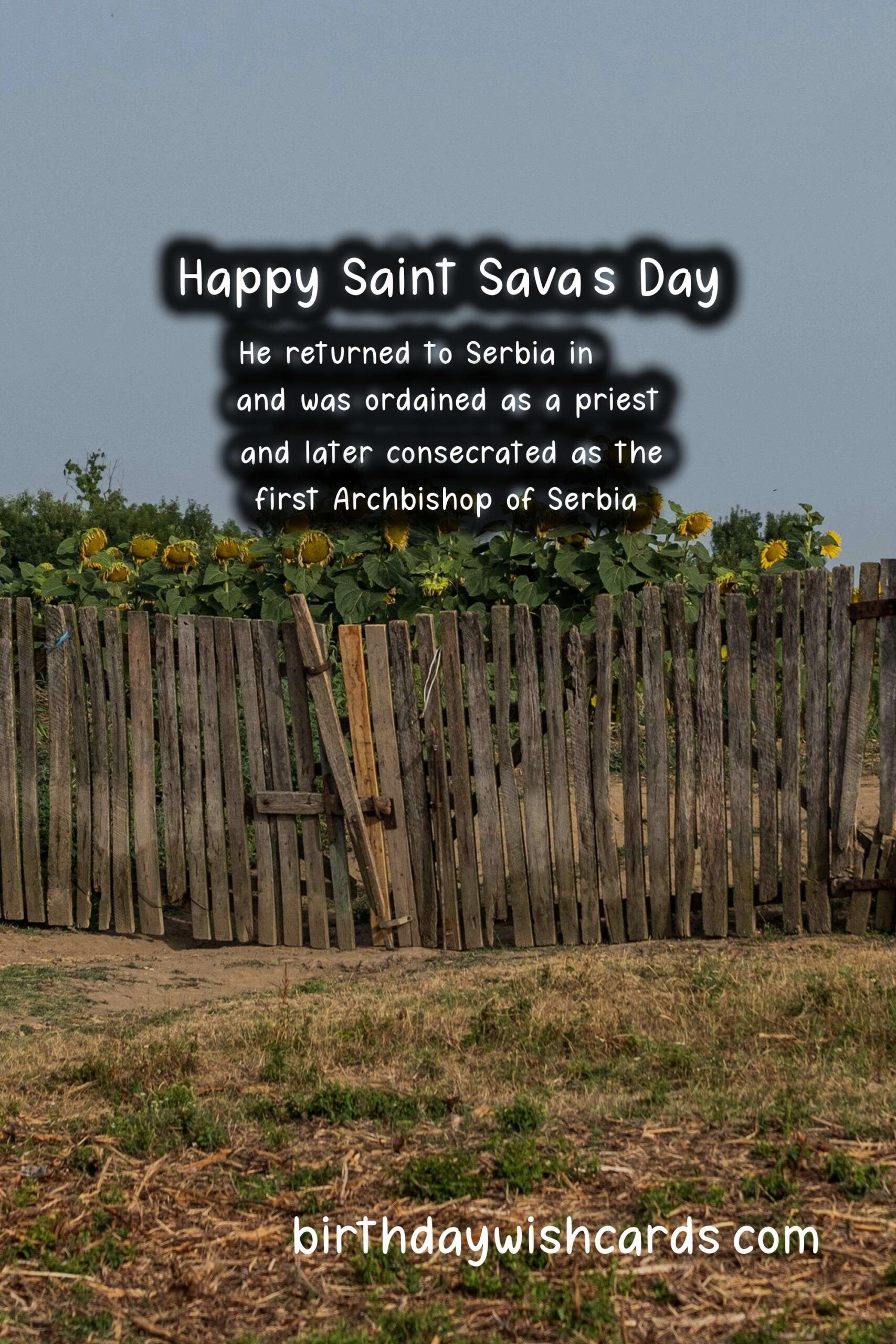 Celebrate Saint Sava's Day: The Birth of a National Hero