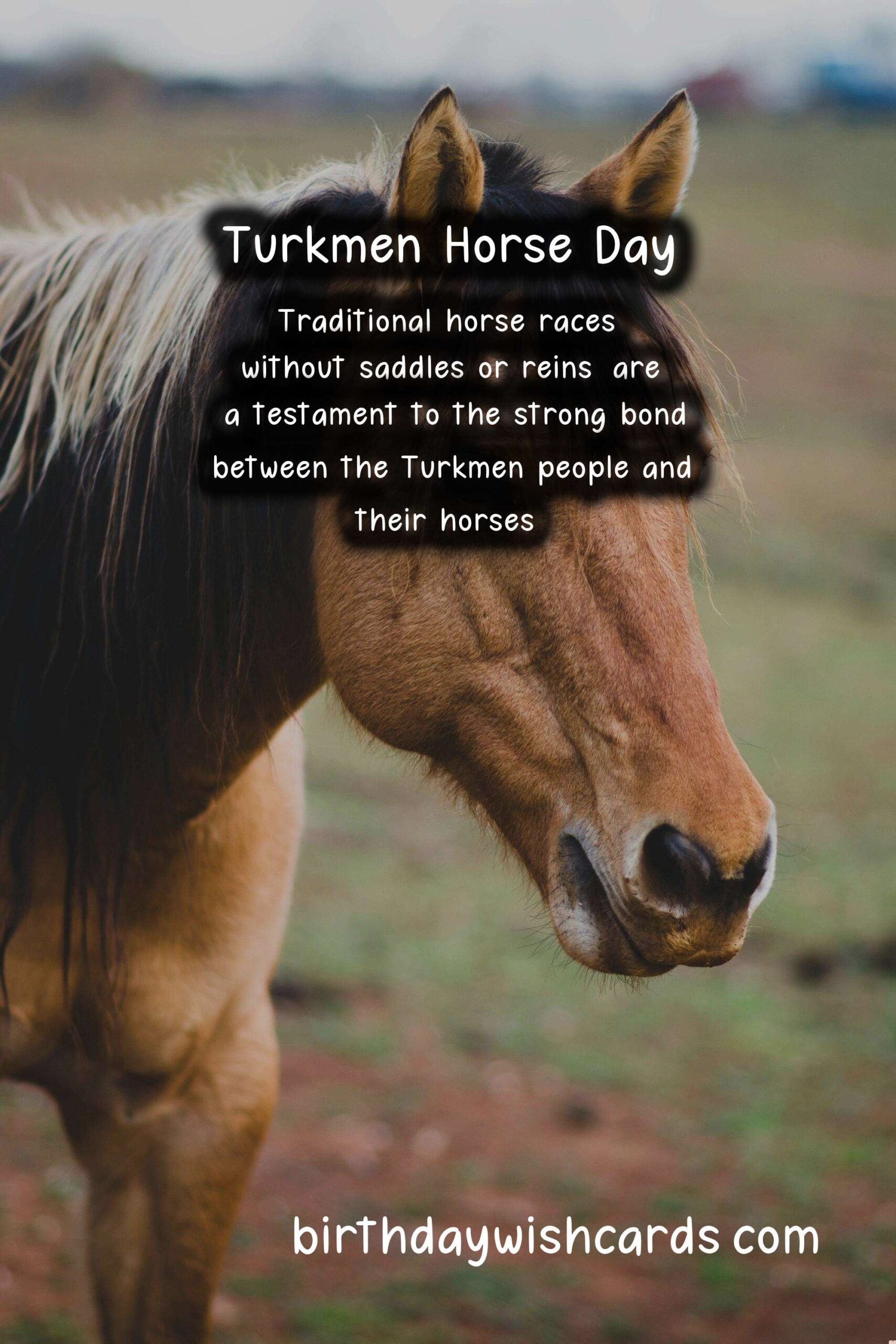 Birthday Wish Cards | Celebrate Turkmen Horse Day on April 25 - A Day to Honor the Sacred Animal