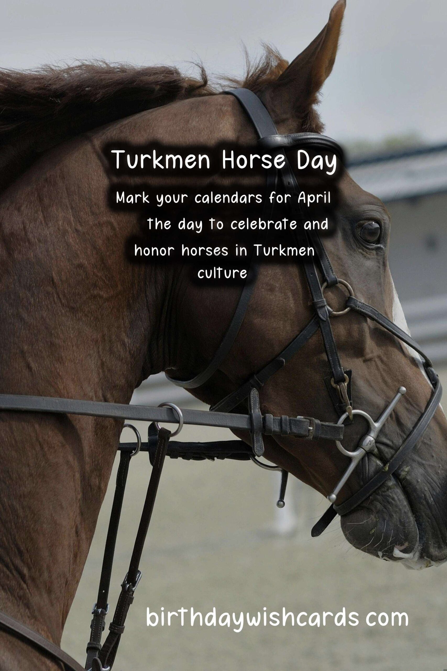 Celebrate Turkmen Horse Day on April 25 - A Day to Honor the Sacred Animal