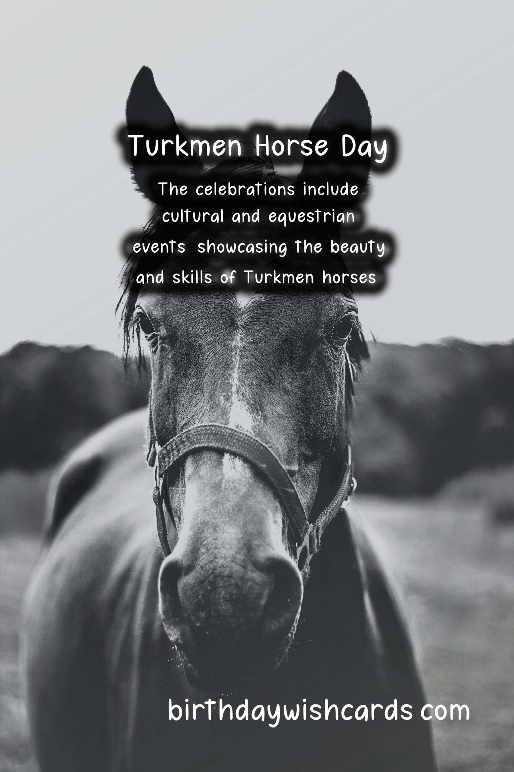 Celebrate Turkmen Horse Day on April 25 - A Day to Honor the Sacred Animal