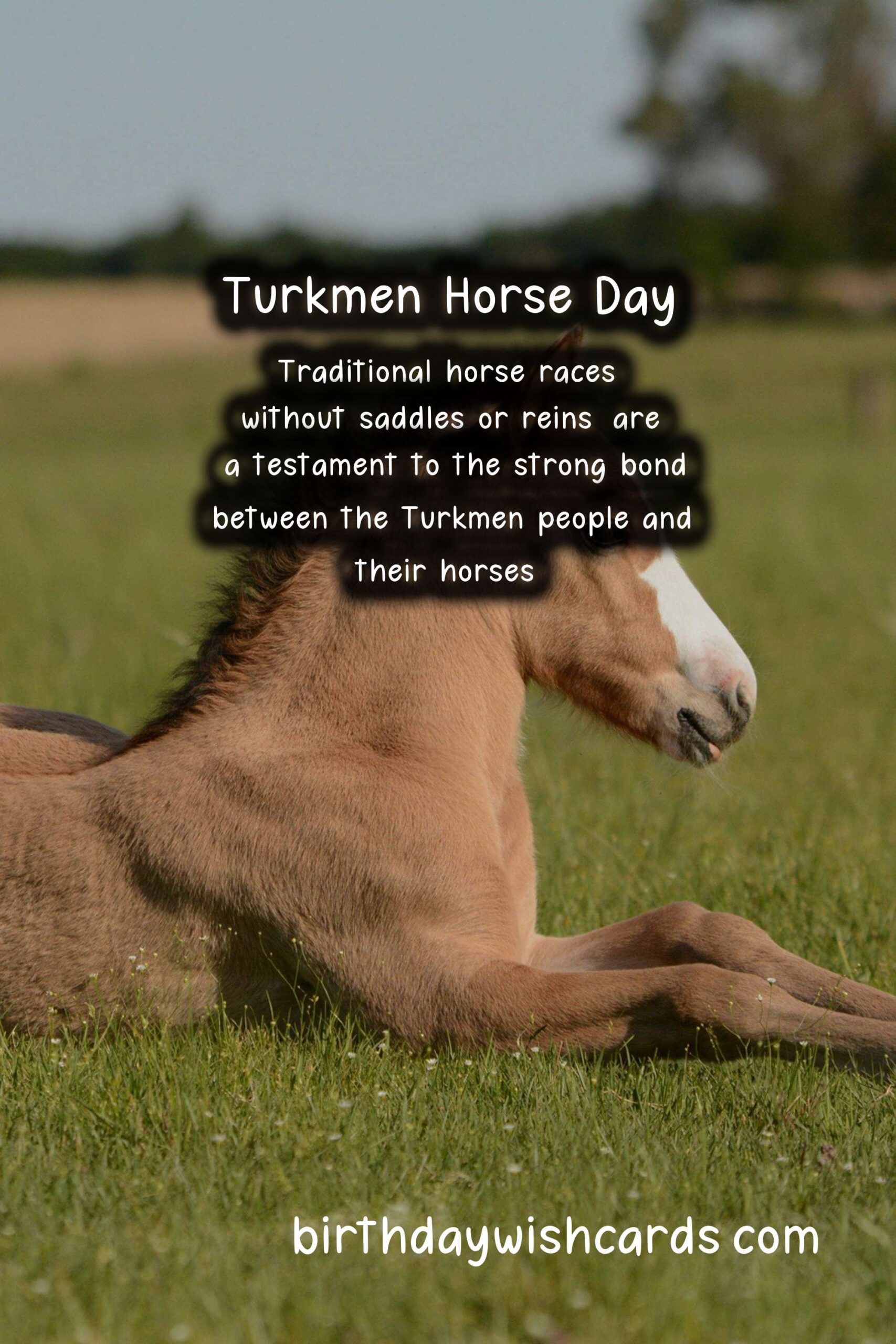 Celebrate Turkmen Horse Day on April 25 - A Day to Honor the Sacred Animal