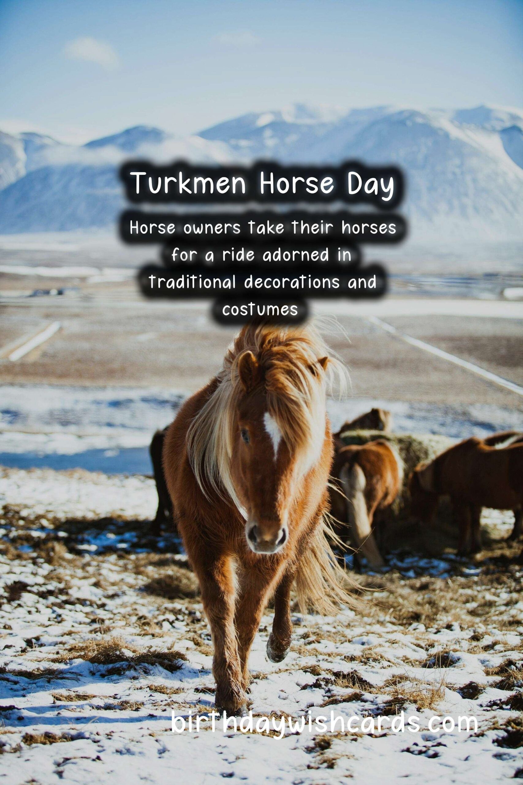 Celebrate Turkmen Horse Day on April 25 - A Day to Honor the Sacred Animal