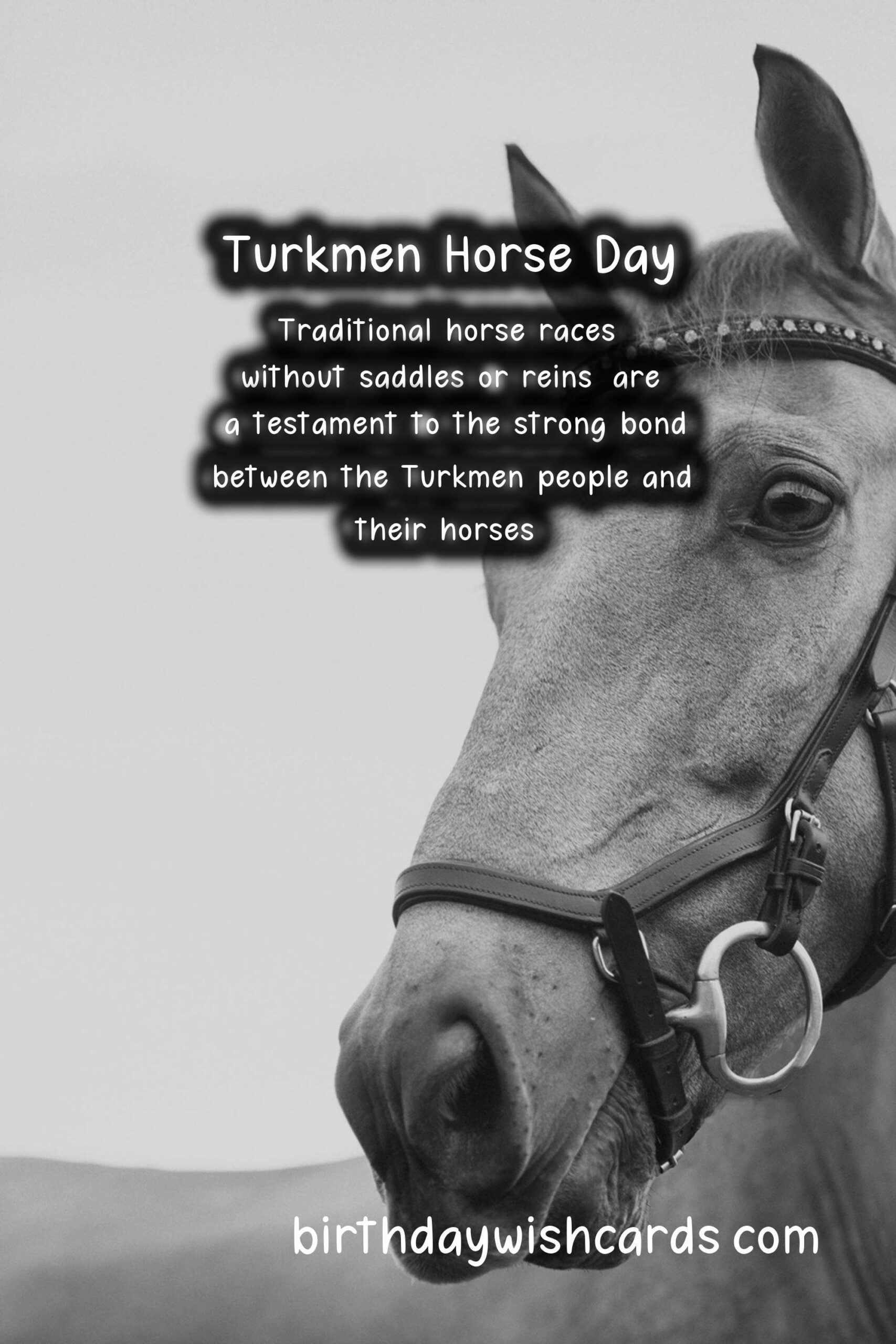 Celebrate Turkmen Horse Day on April 25 - A Day to Honor the Sacred Animal