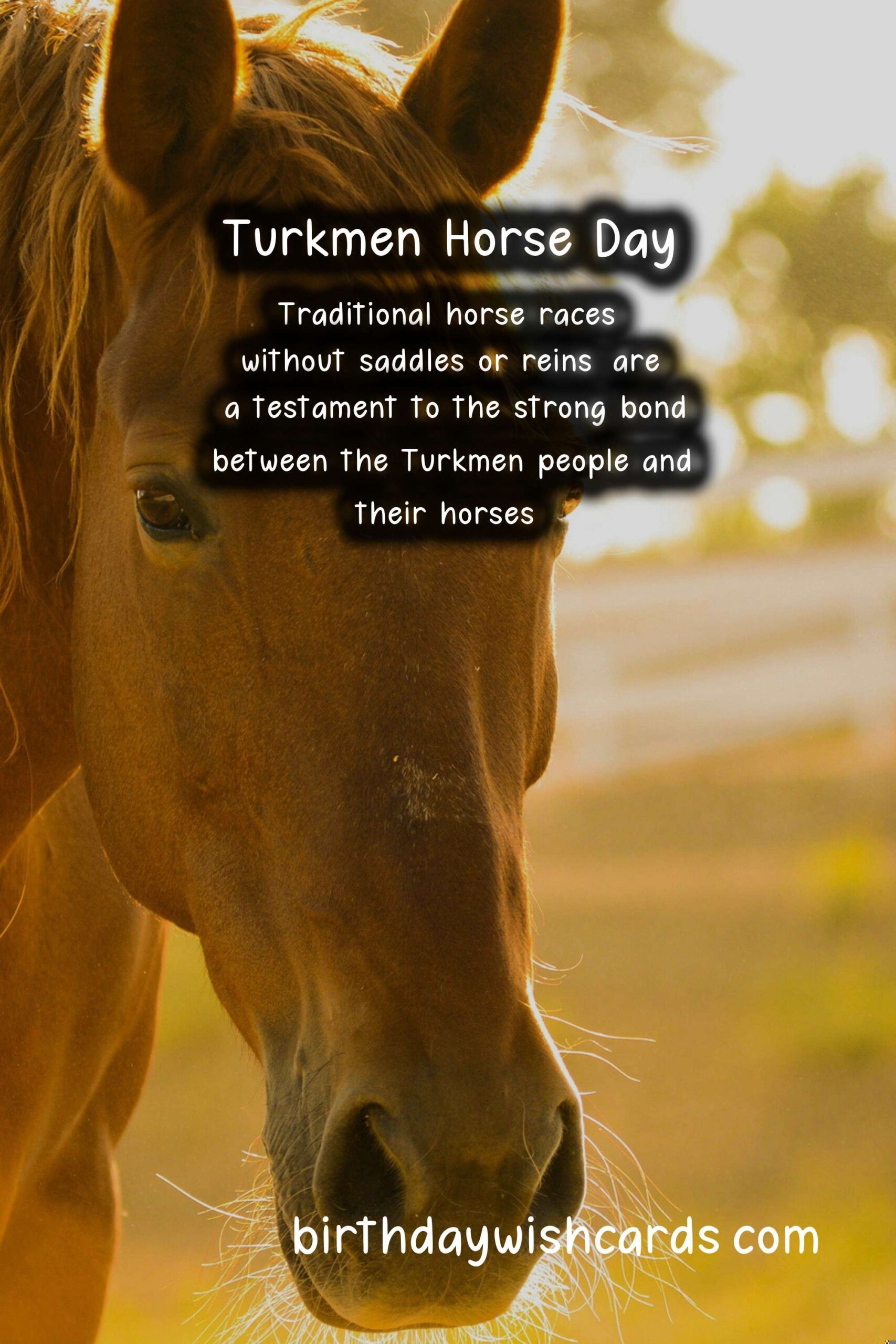 Celebrate Turkmen Horse Day on April 25 - A Day to Honor the Sacred Animal