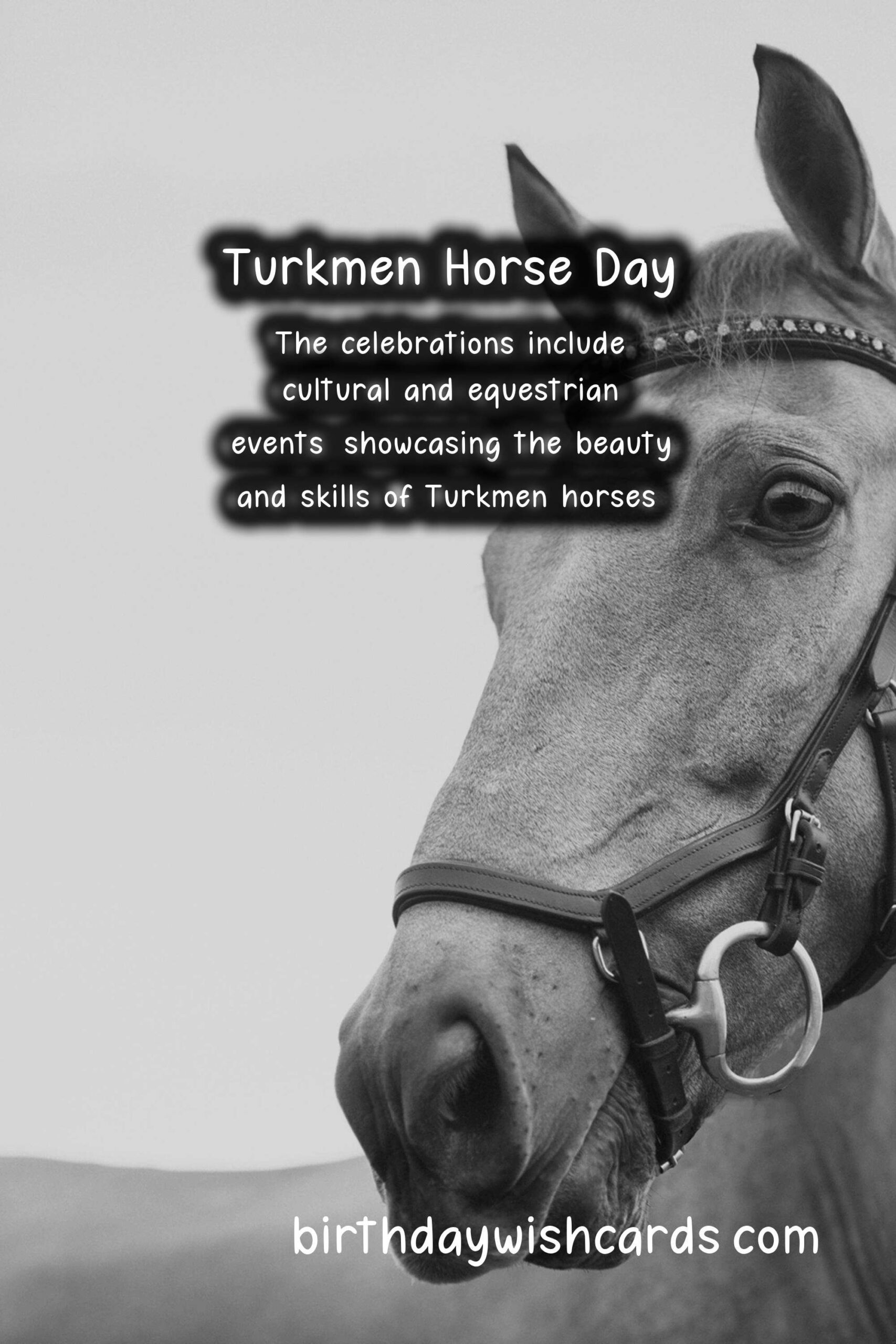 Celebrate Turkmen Horse Day on April 25 - A Day to Honor the Sacred Animal