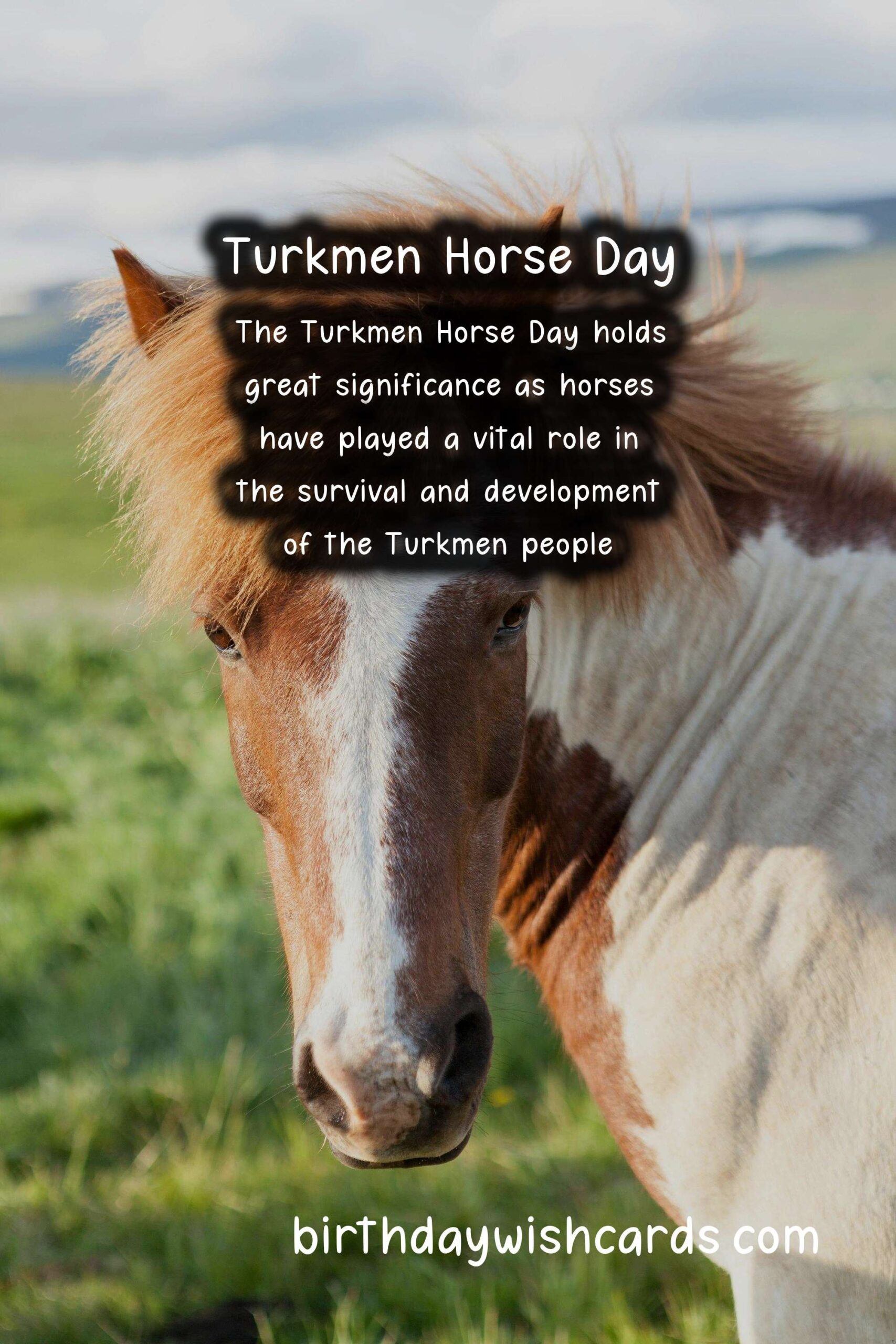 Celebrate Turkmen Horse Day on April 25 - A Day to Honor the Sacred Animal
