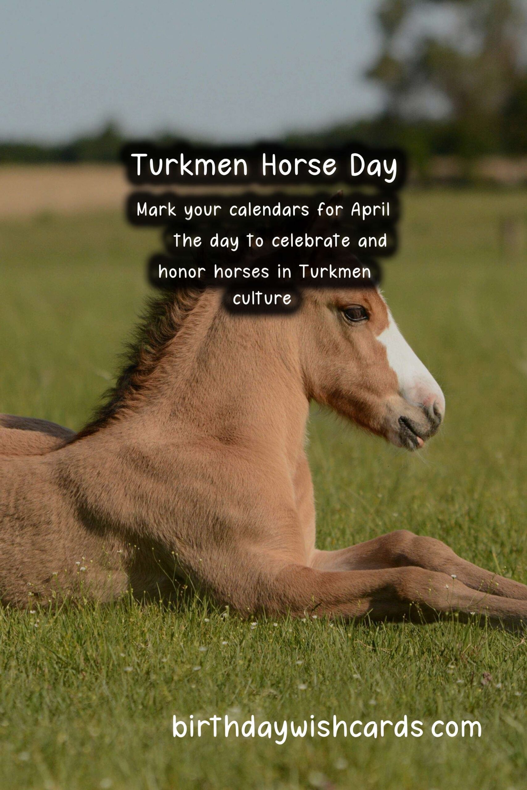 Celebrate Turkmen Horse Day on April 25 - A Day to Honor the Sacred Animal