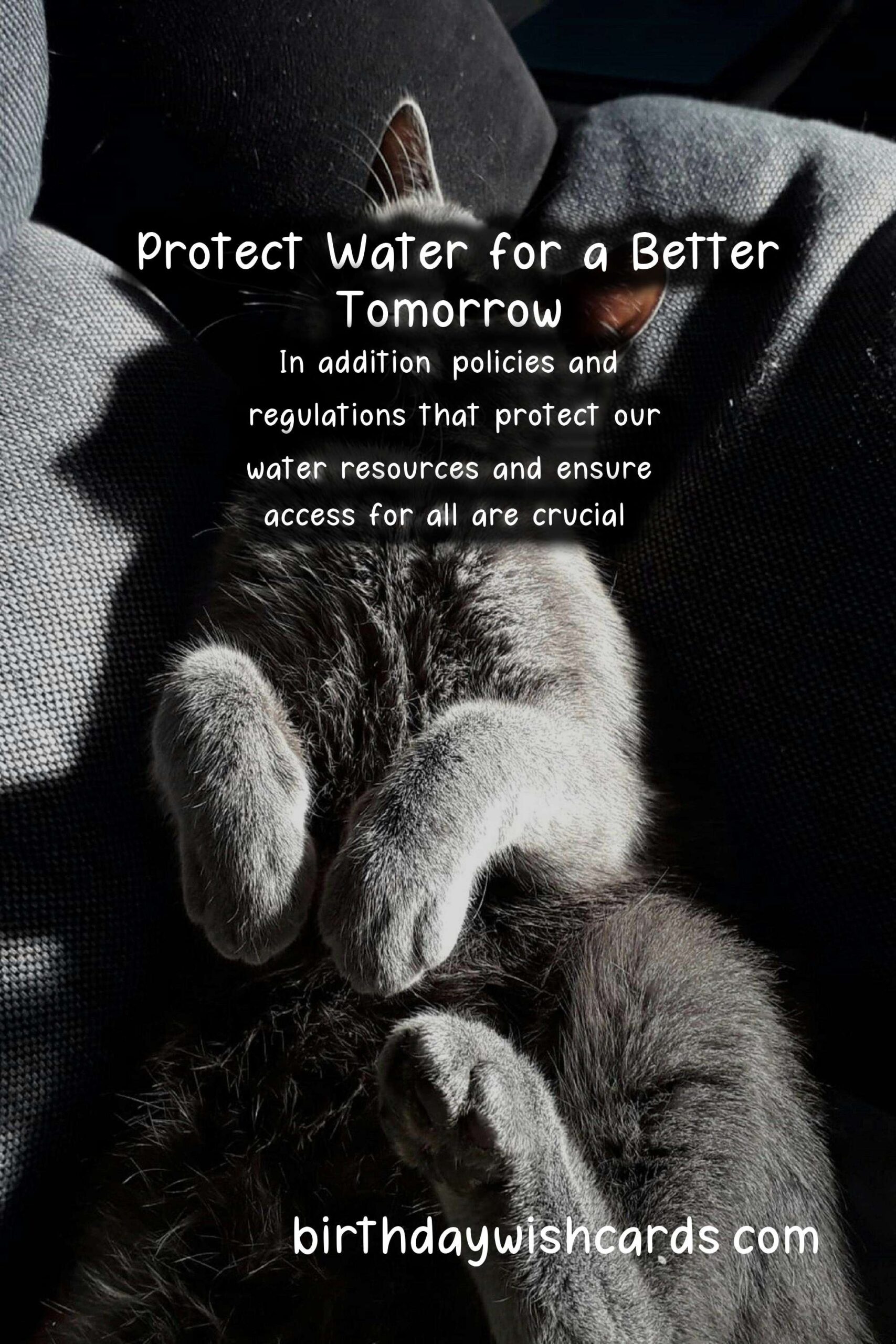 Celebrate World Water Day on March 22nd: Why Water Matters More Than Ever