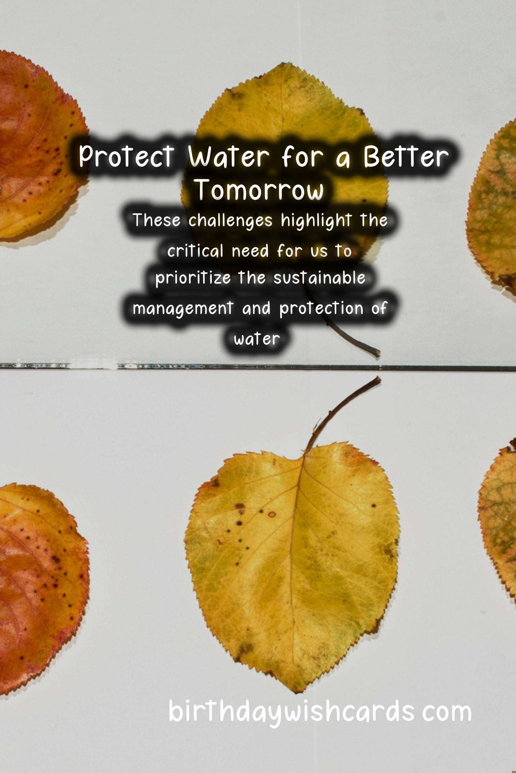 Celebrate World Water Day on March 22nd: Why Water Matters More Than Ever