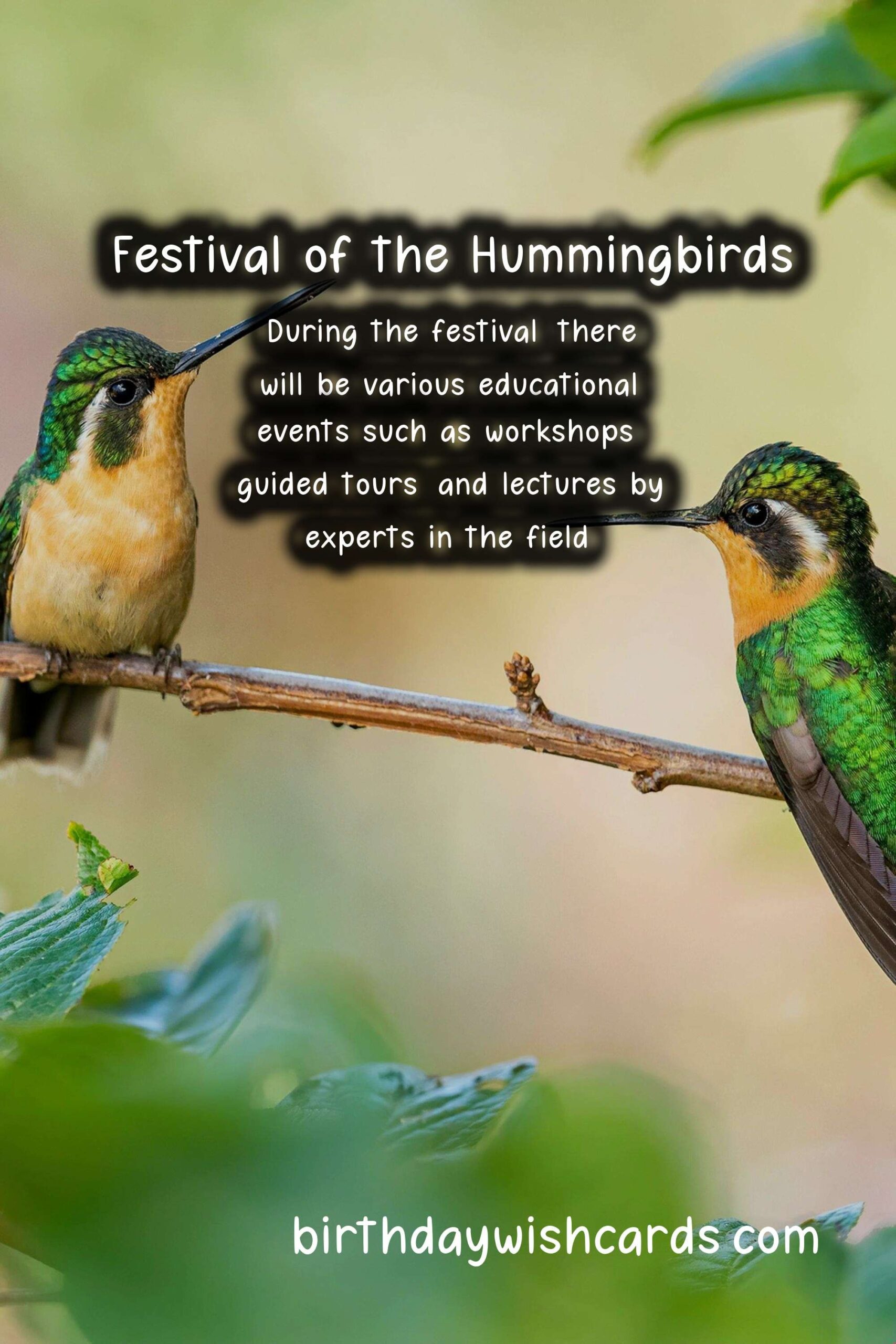 Celebrate the Beauty of Nature with the Festival of the Hummingbirds