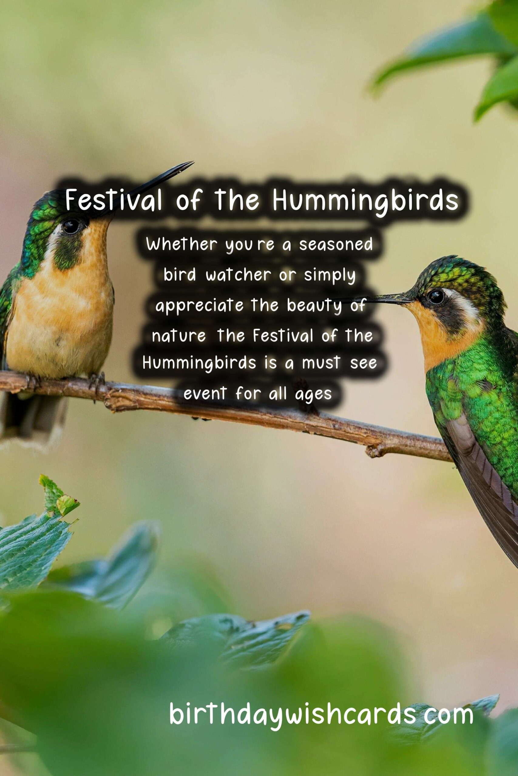 Celebrate the Beauty of Nature with the Festival of the Hummingbirds