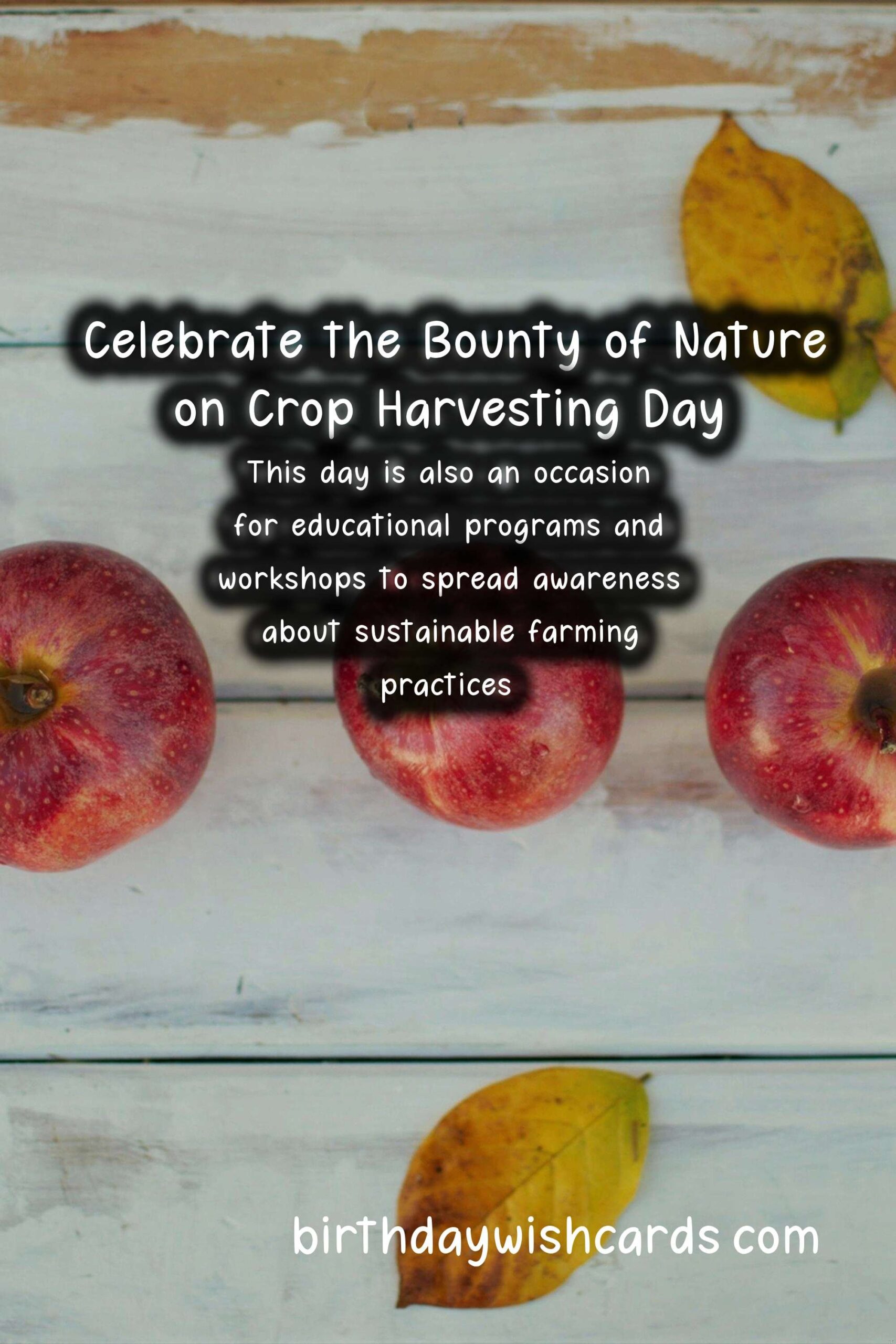 Birthday Wish Cards | Celebrate the Bounty of Nature on Crop Harvesting Day