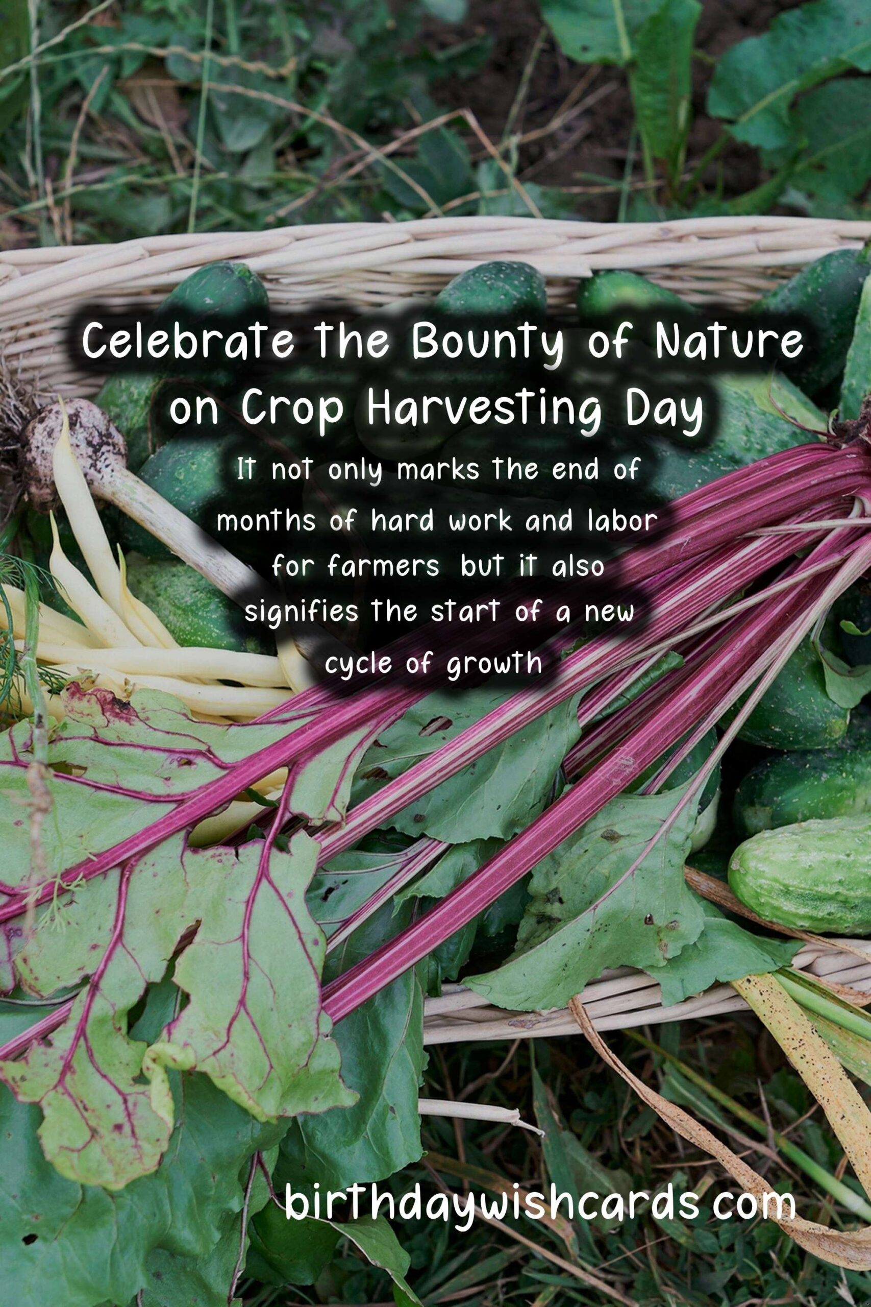 Celebrate the Bounty of Nature on Crop Harvesting Day