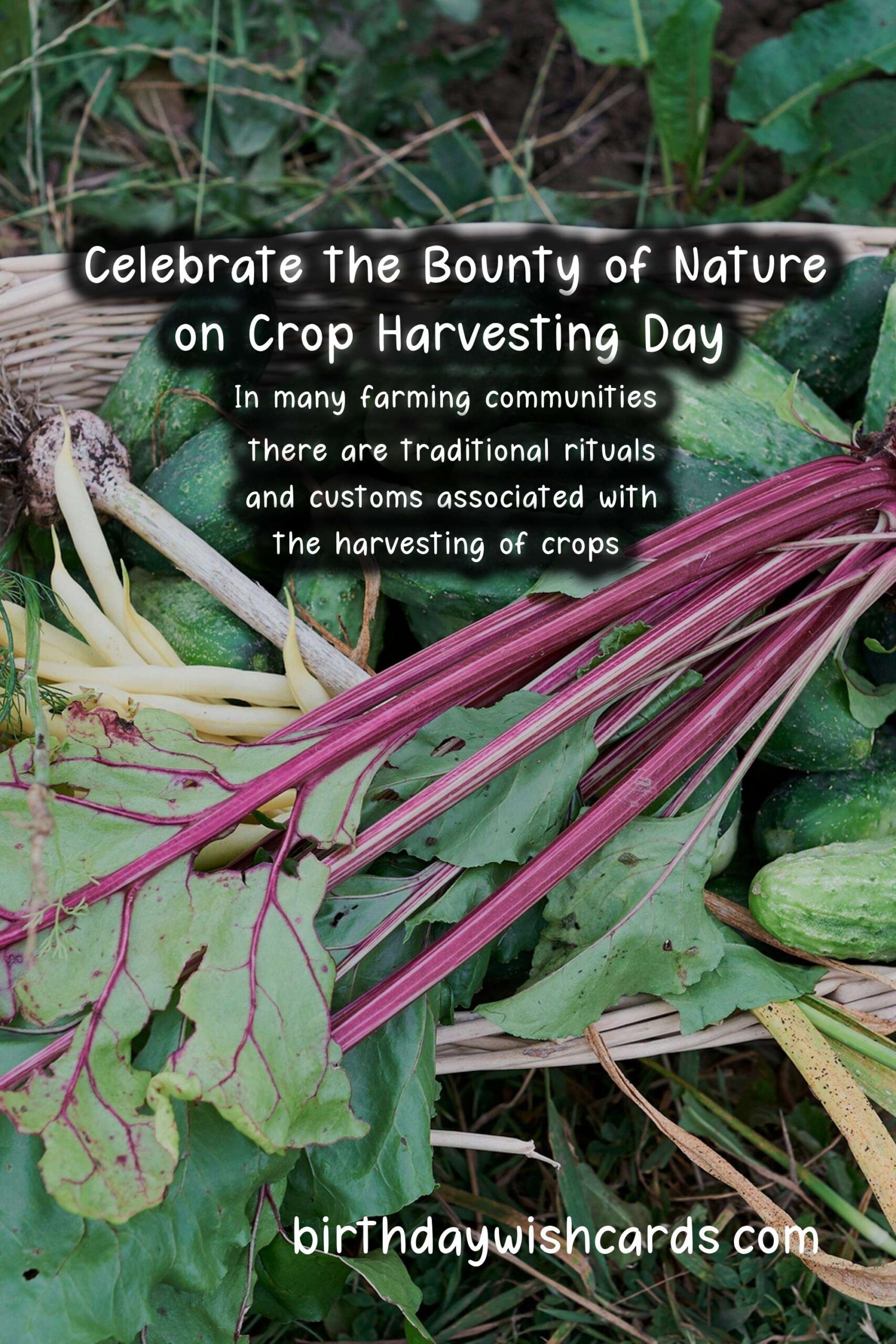 Celebrate the Bounty of Nature on Crop Harvesting Day
