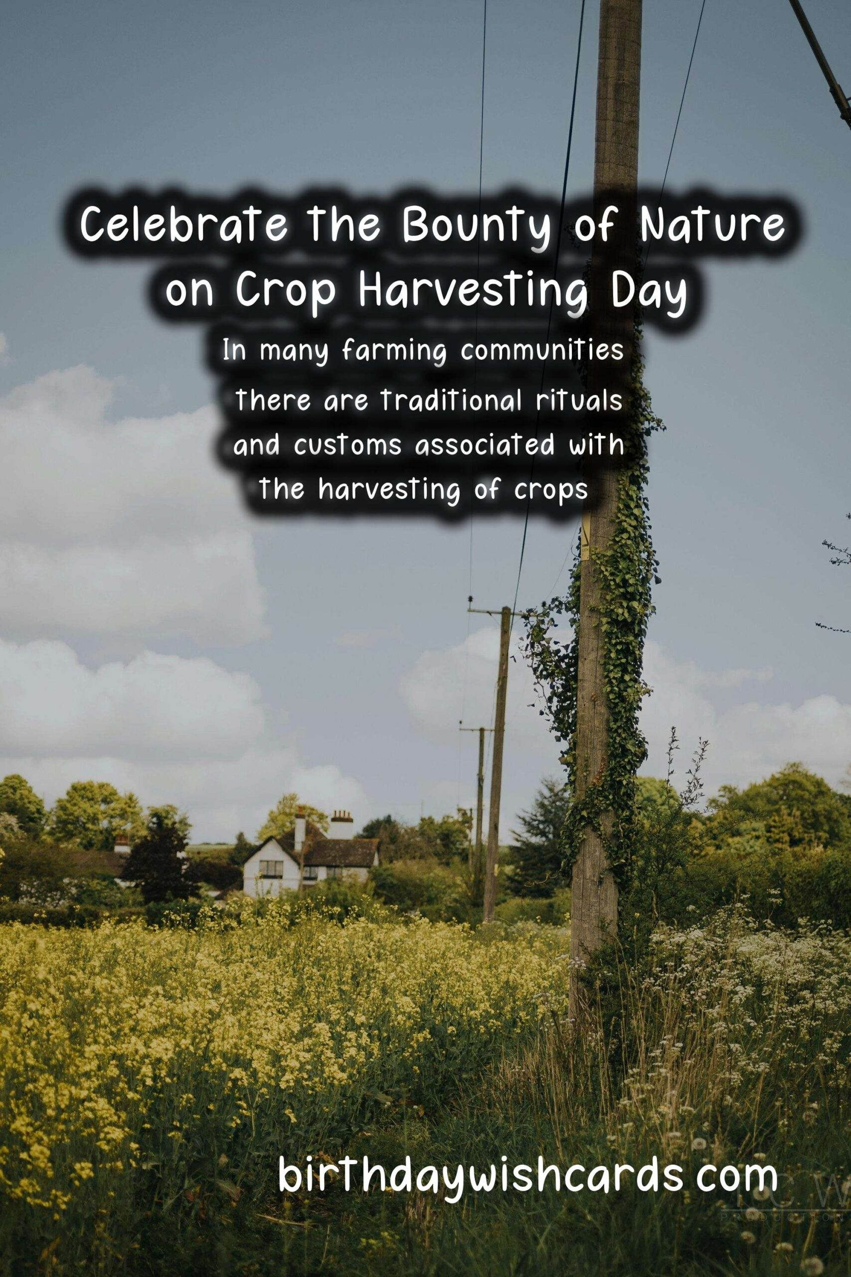 Celebrate the Bounty of Nature on Crop Harvesting Day