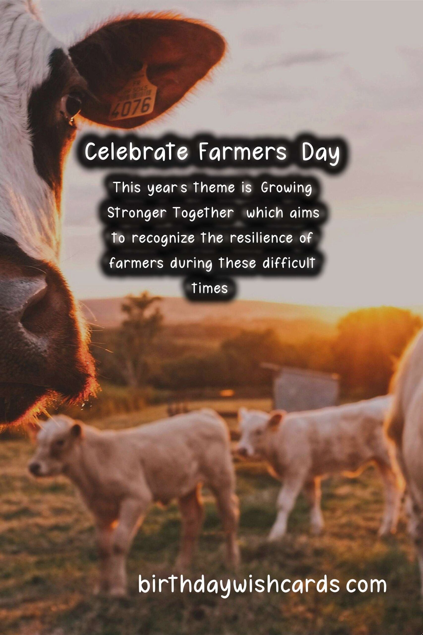 Celebrate the Hard Work and Dedication of Farmers on Farmers' Day