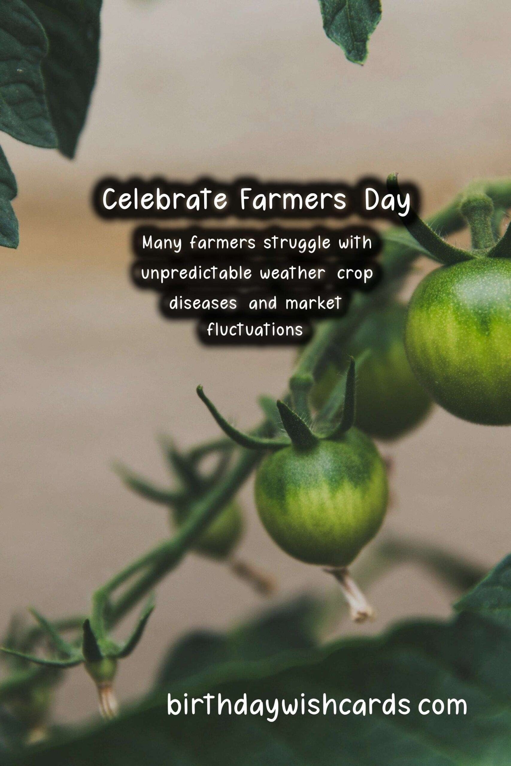 Celebrate the Hard Work and Dedication of Farmers on Farmers' Day