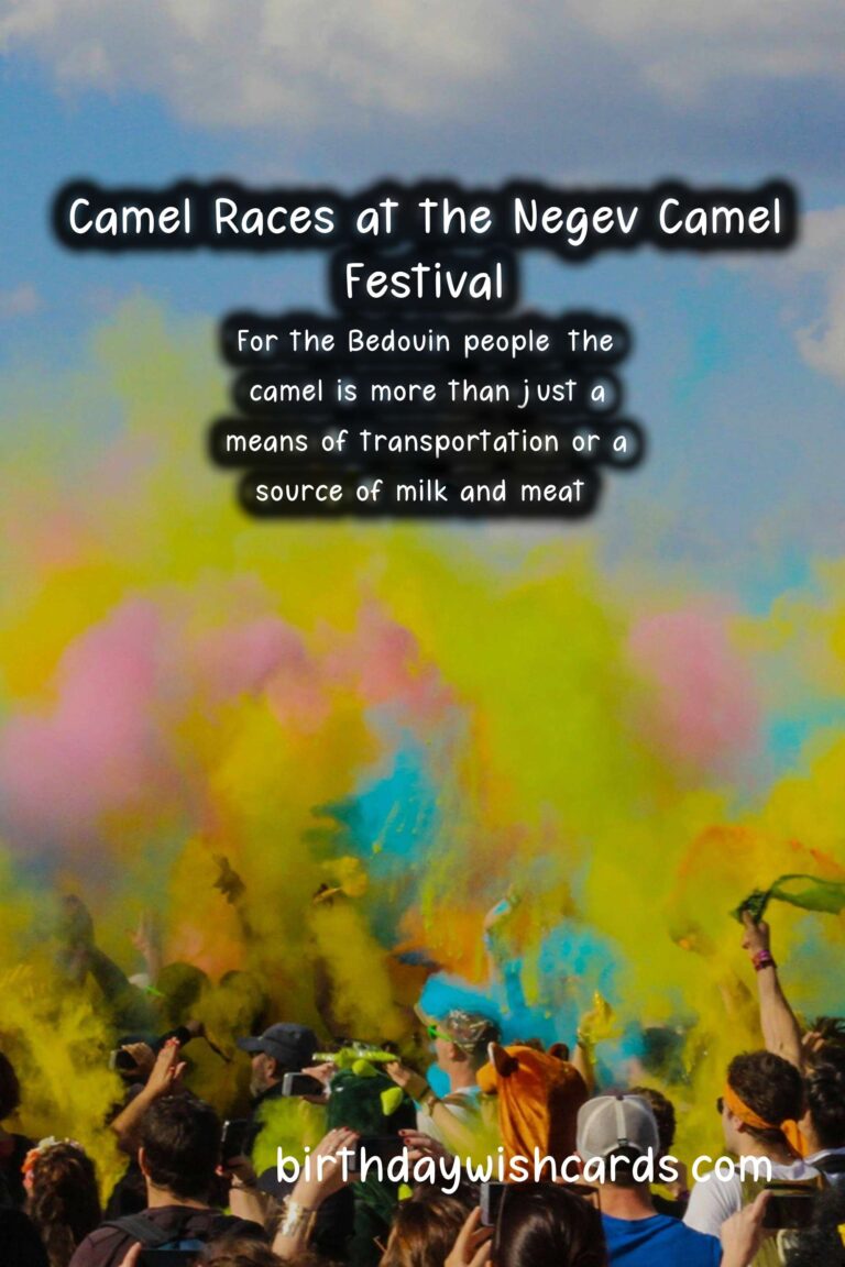 Celebrate the Rich Culture of the Negev Camel Festival – December/January