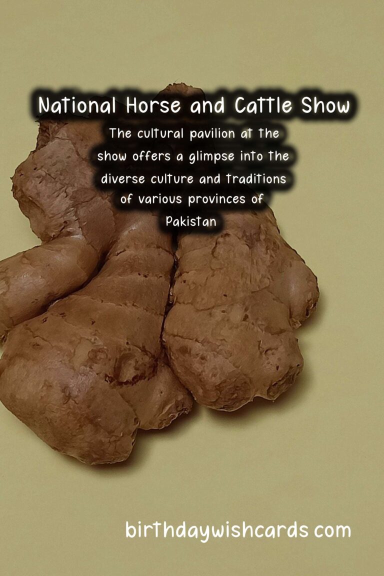 Celebrate the Spirit of National Horse and Cattle Show – November