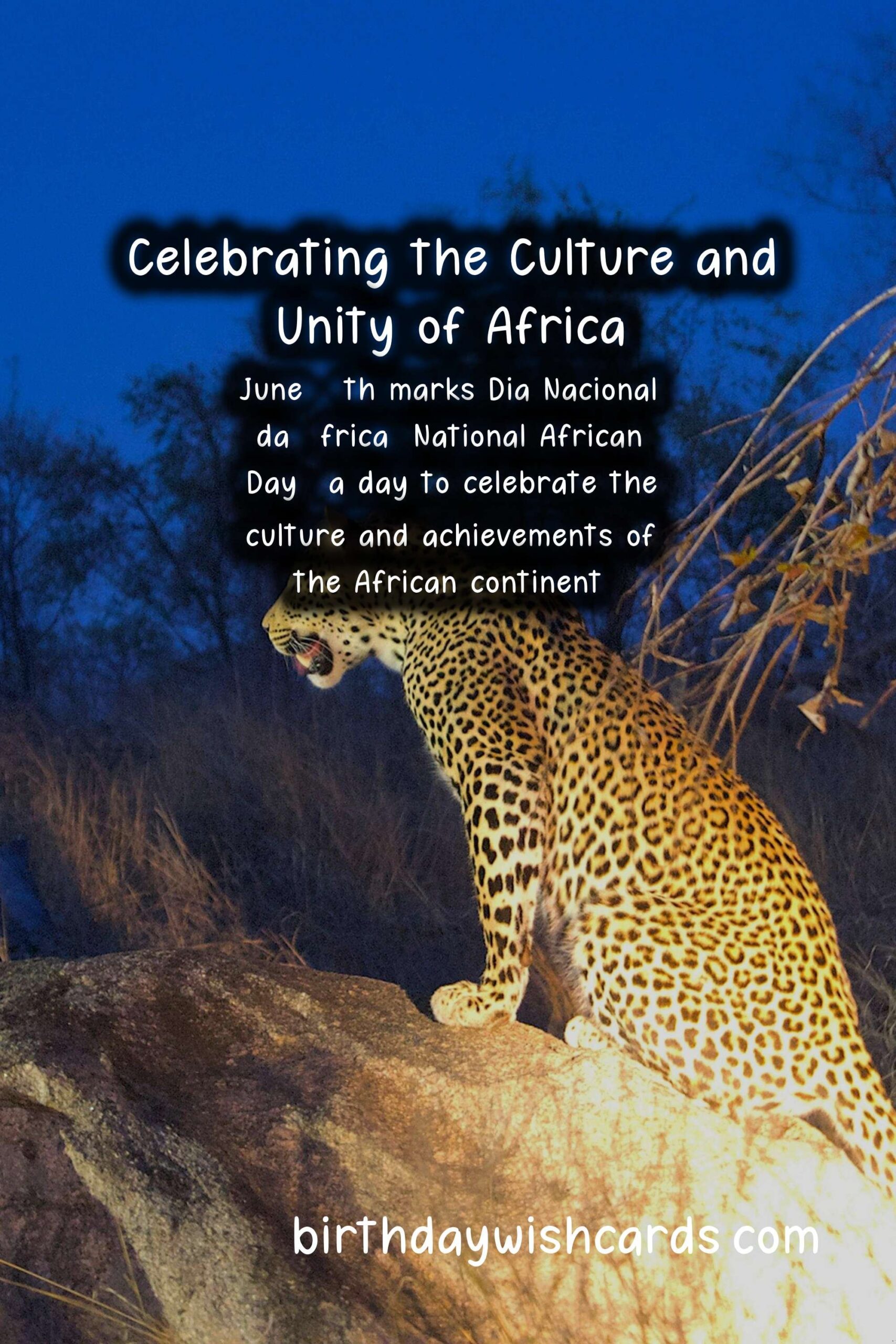 Celebrating Dia Nacional da África (National African Day) – June 18th: Promoting African Unity and Pride