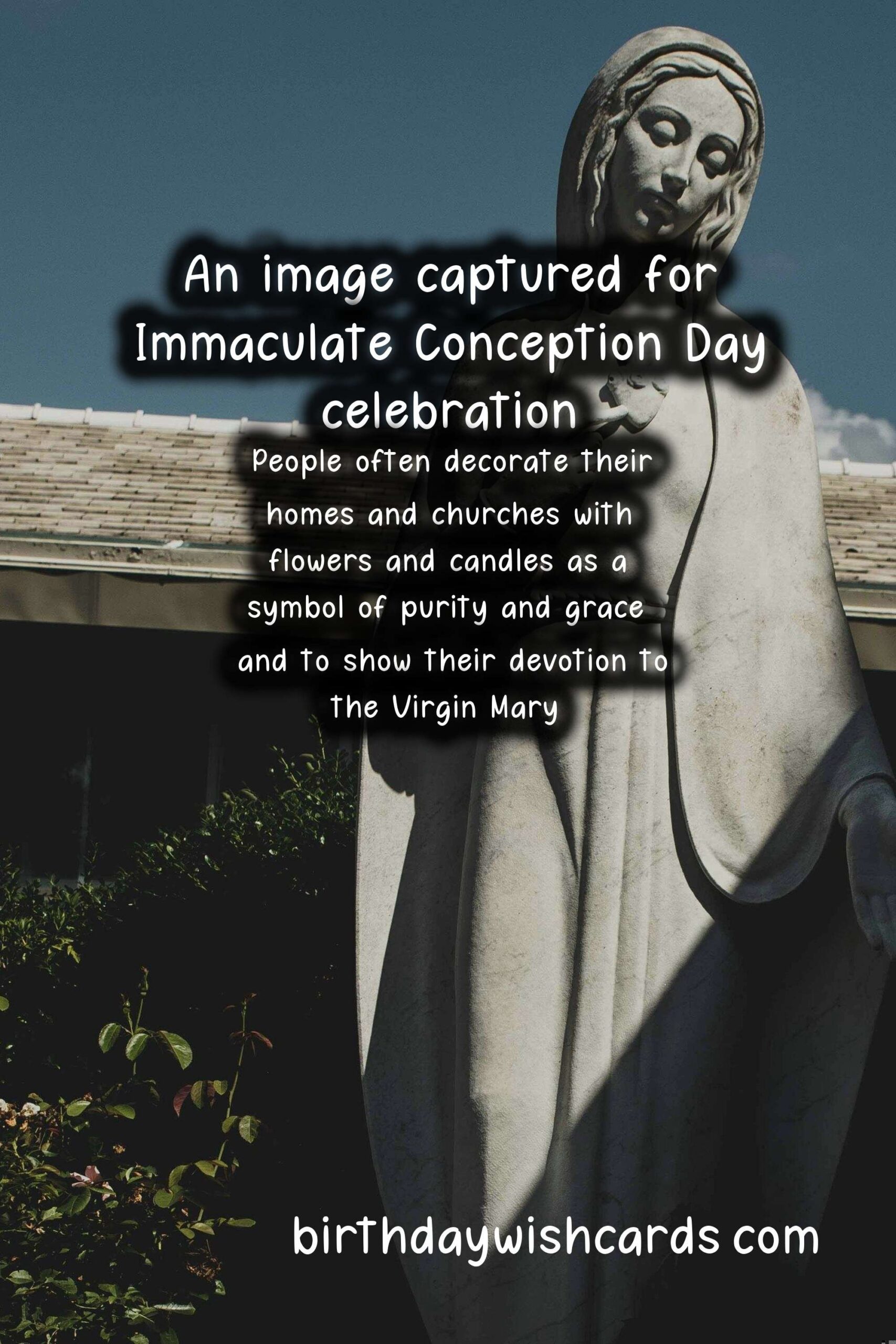 December 8 - Immaculate Conception Day: A Celebration of Faith and Conception