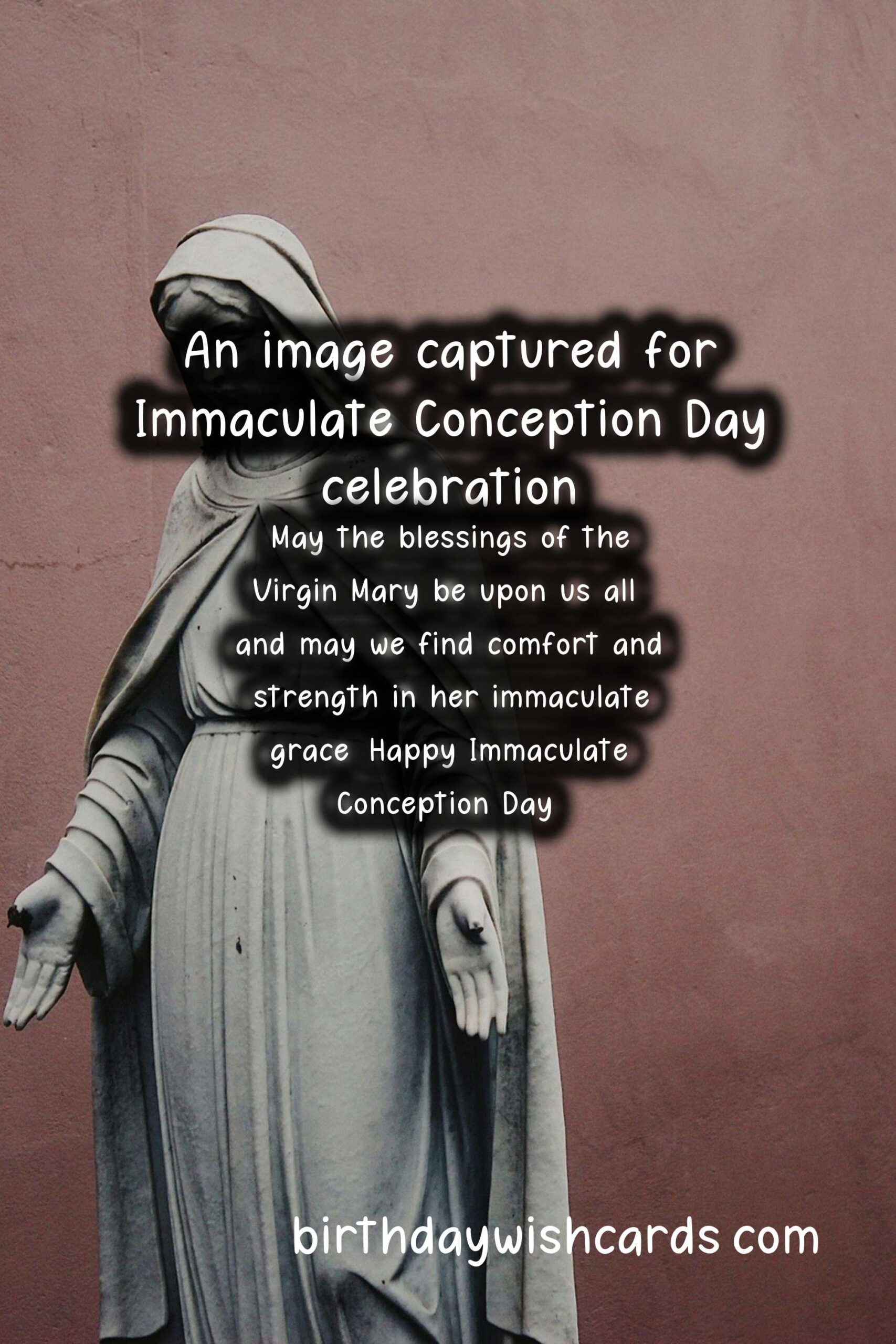December 8 - Immaculate Conception Day: A Celebration of Faith and Conception