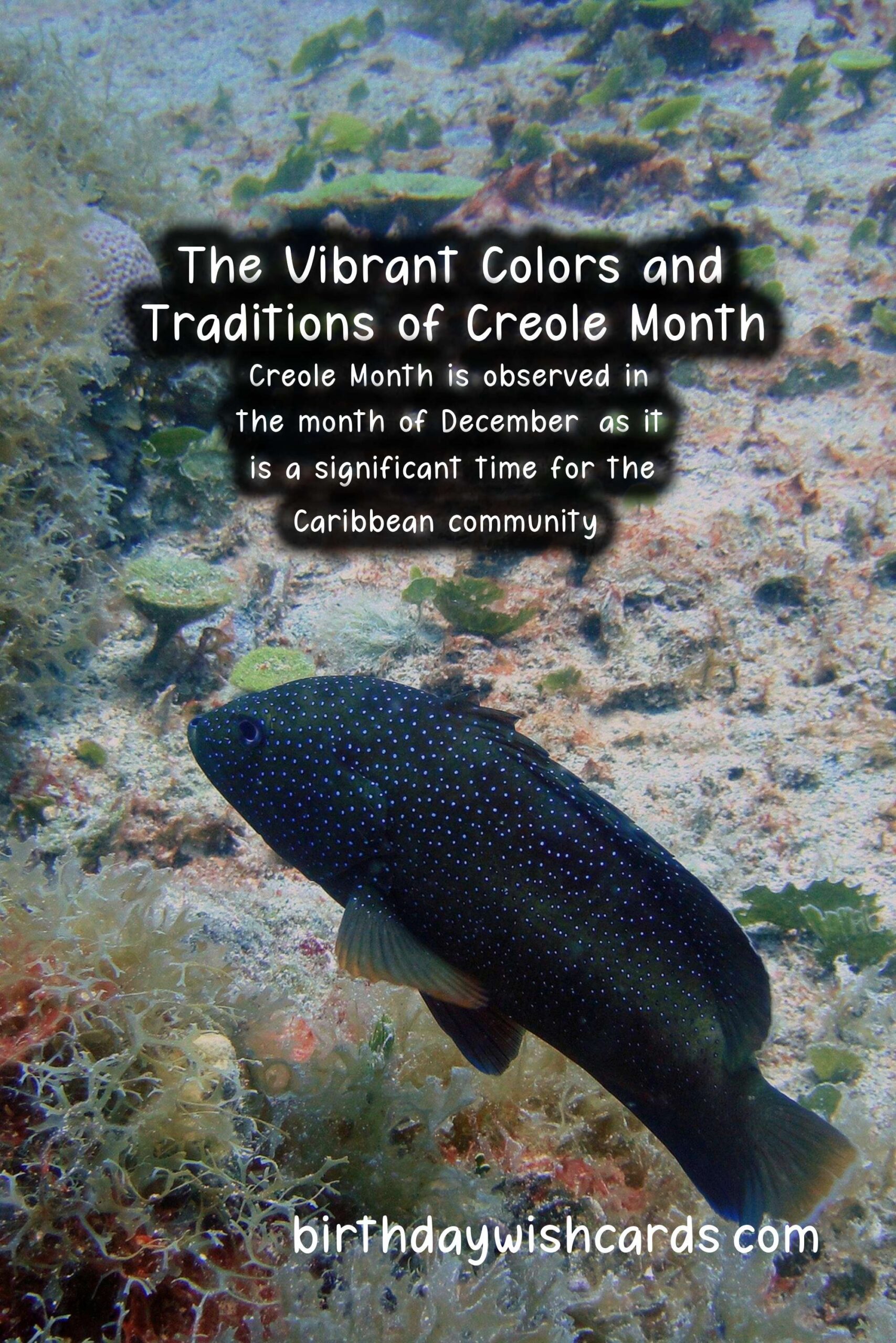 December: Creole Month Celebrates The Rich Culture Of The Caribbean