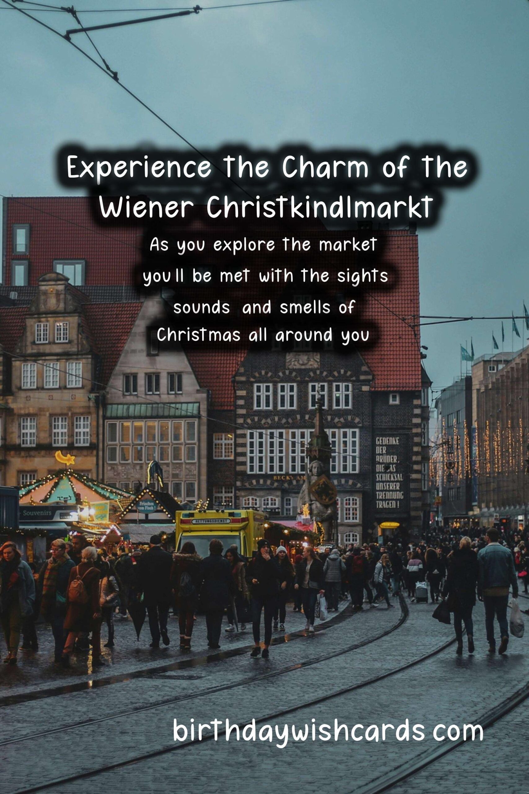 Discover the Magic of Wiener Christkindlmarkt (Christmas Market)!