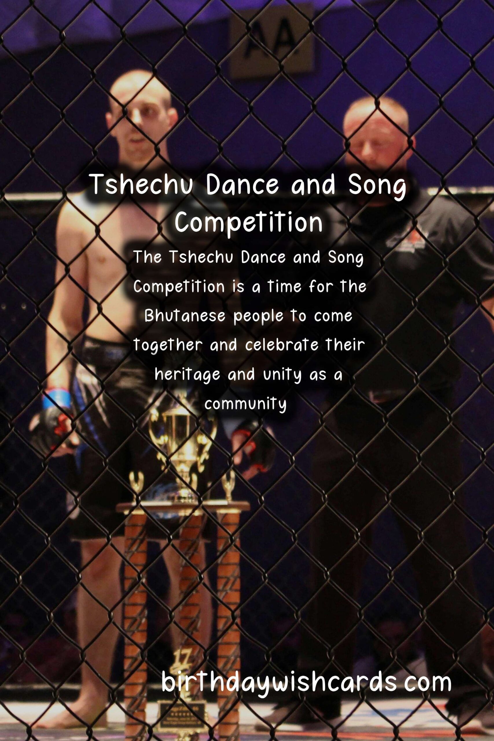 Discover the Vibrant Tshechu Dance and Song Competition Held in January/February*