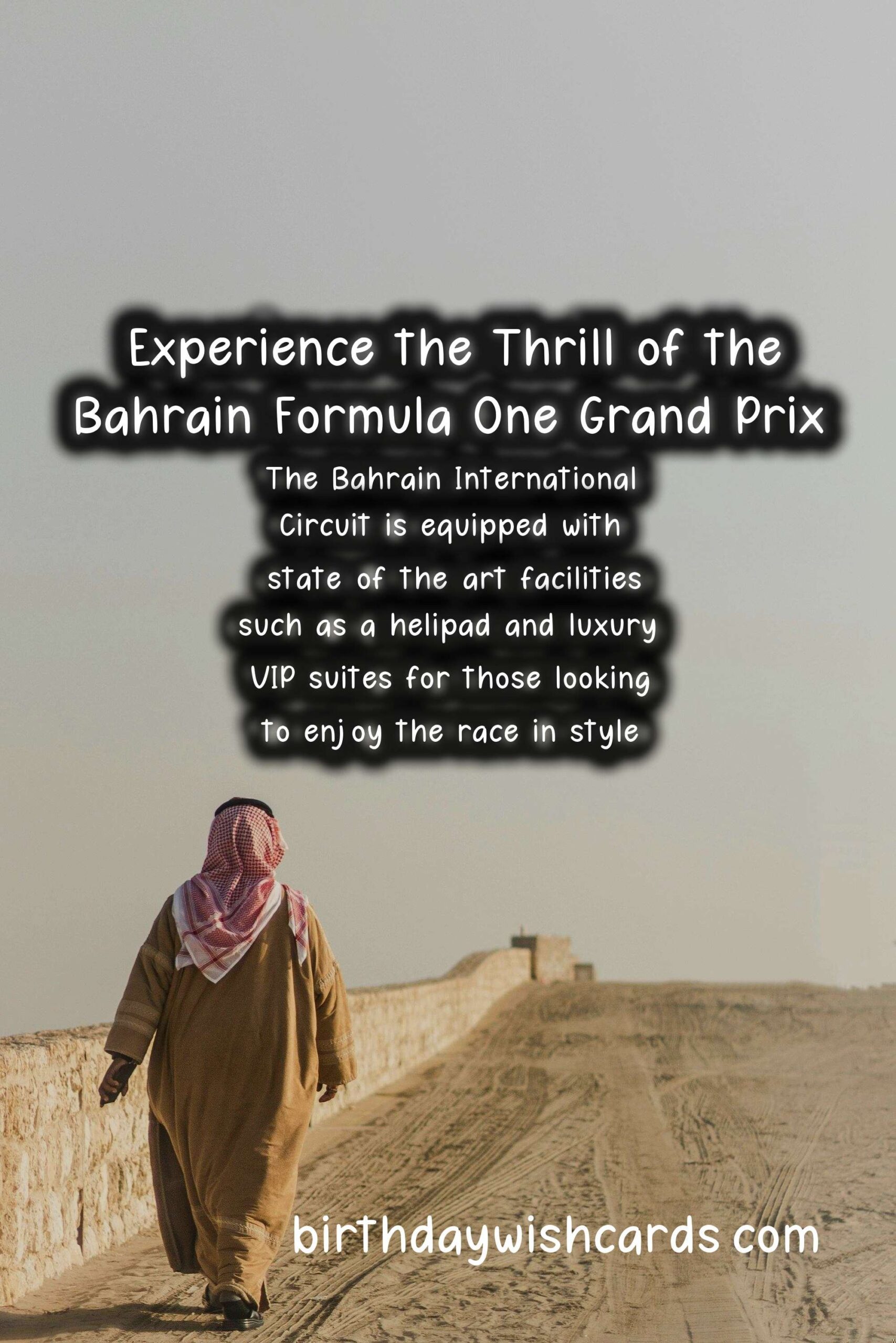 Experience the Adrenaline Rush at the Bahrain Formula One Grand Prix