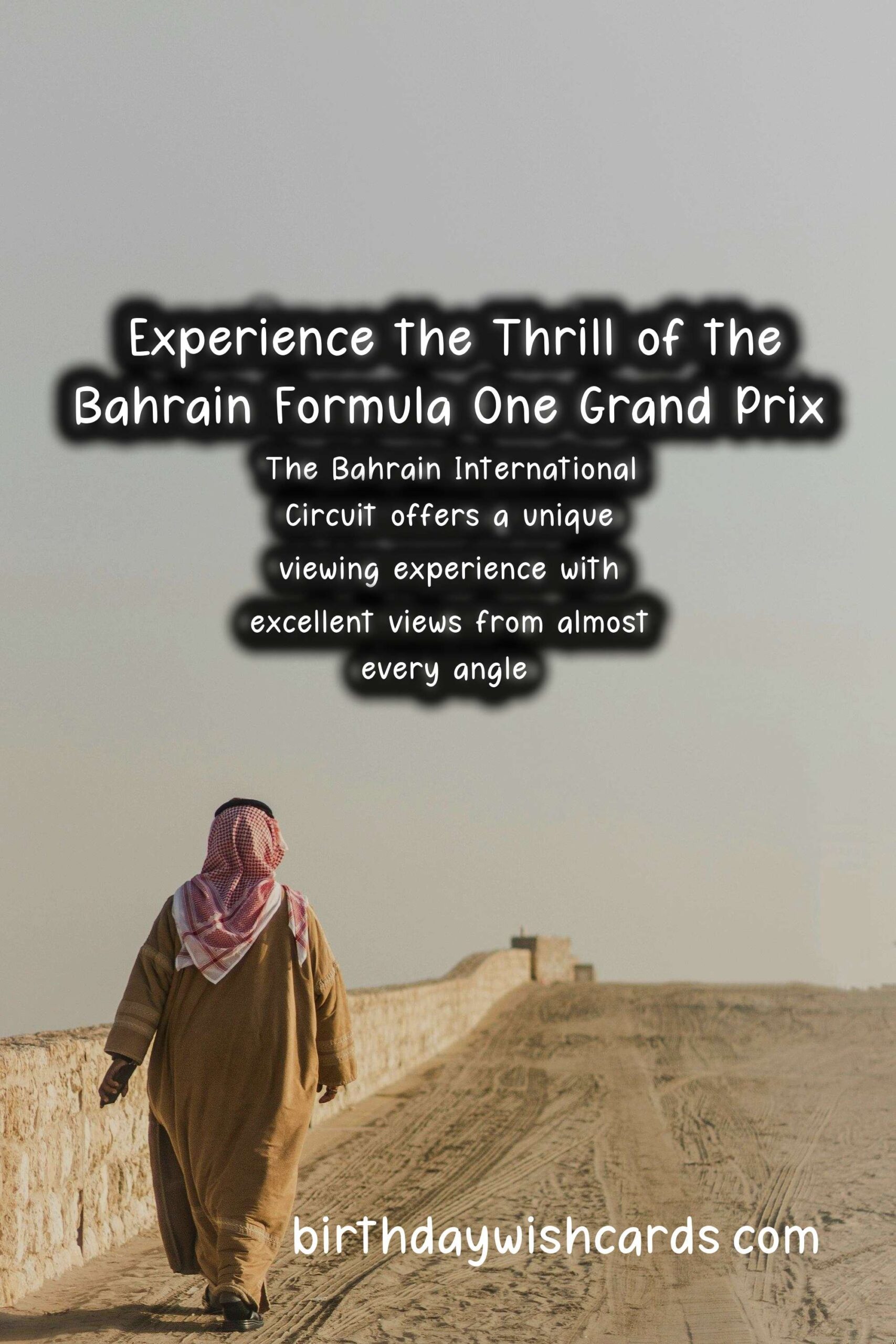 Experience the Adrenaline Rush at the Bahrain Formula One Grand Prix