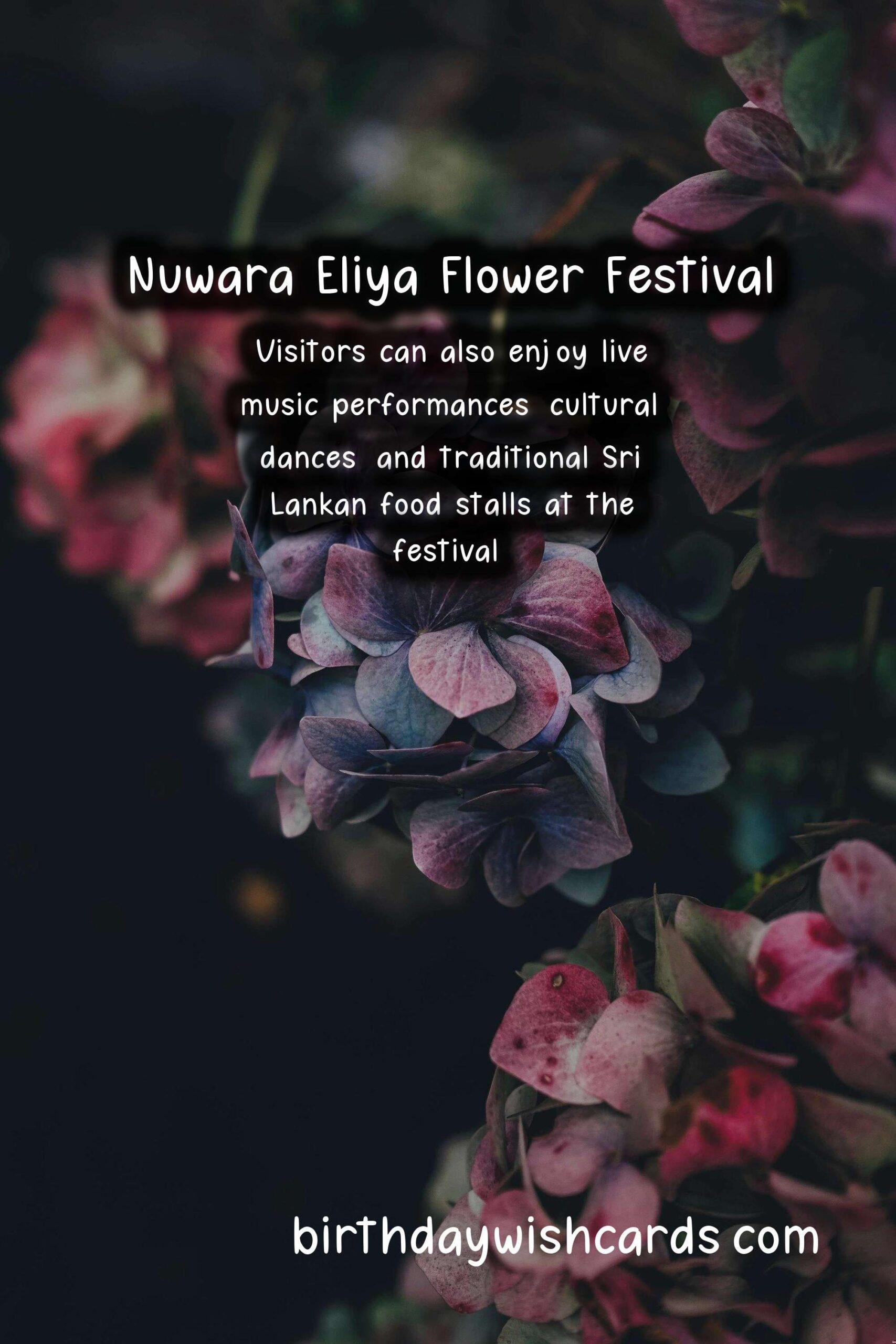 Experience the Beauty of Nuwara Eliya Flower Festival in April
