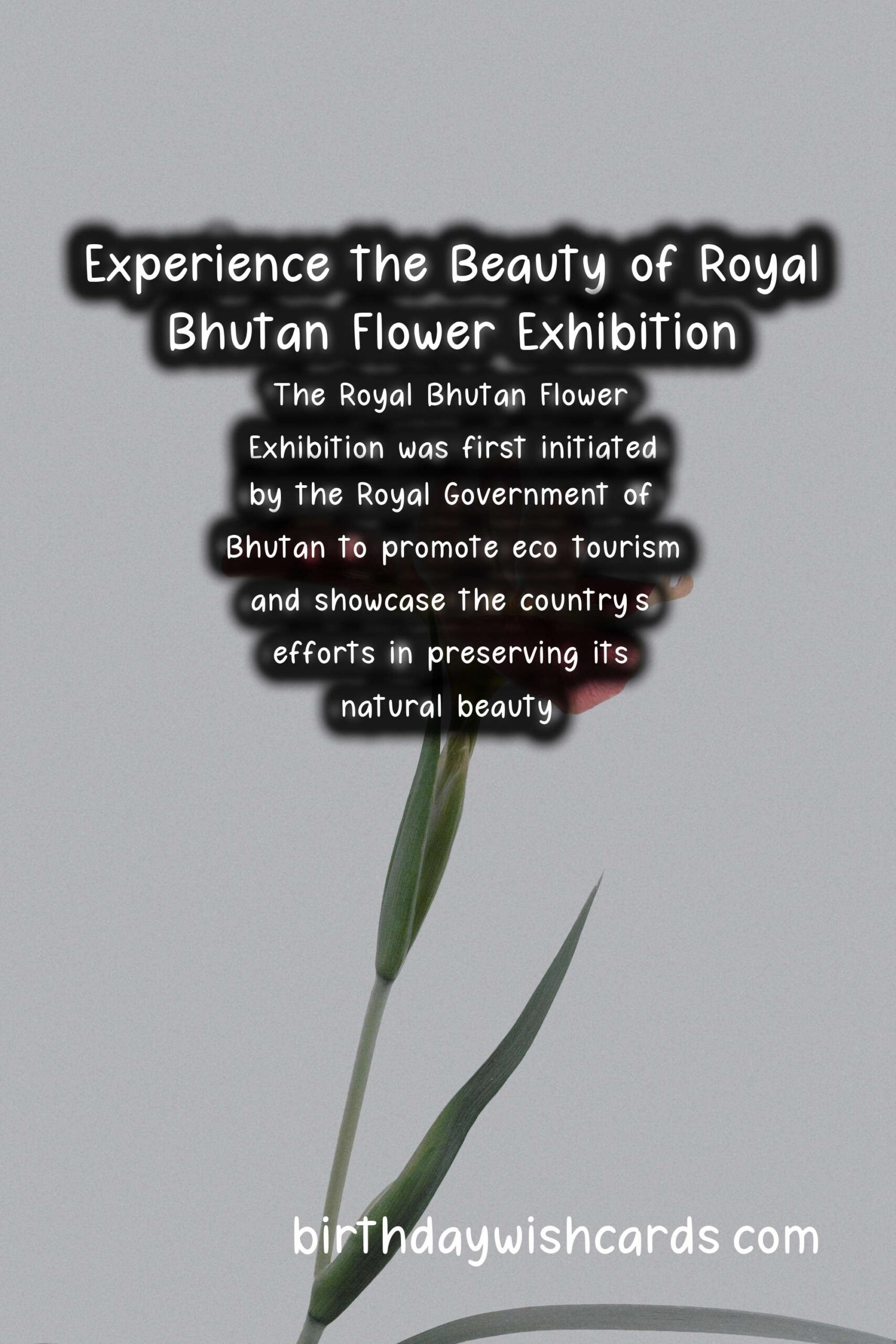 Experience the Beauty of Royal Bhutan Flower Exhibition - April/May*