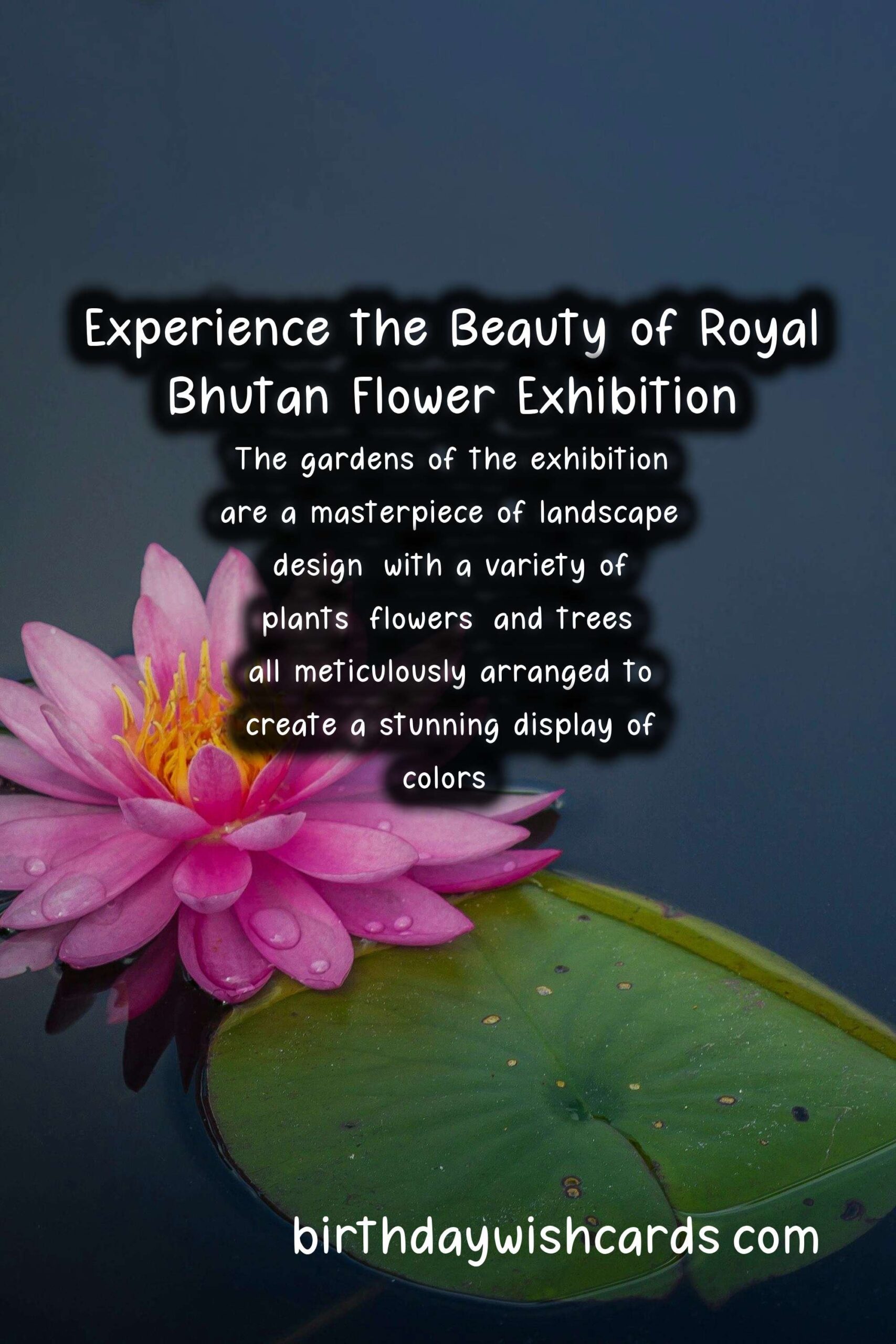 Experience the Beauty of Royal Bhutan Flower Exhibition - April/May*
