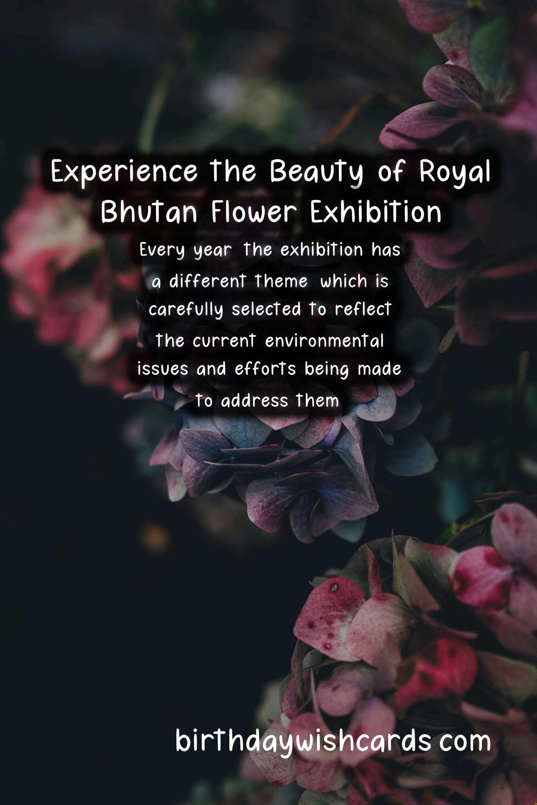 Experience the Beauty of Royal Bhutan Flower Exhibition - April/May*