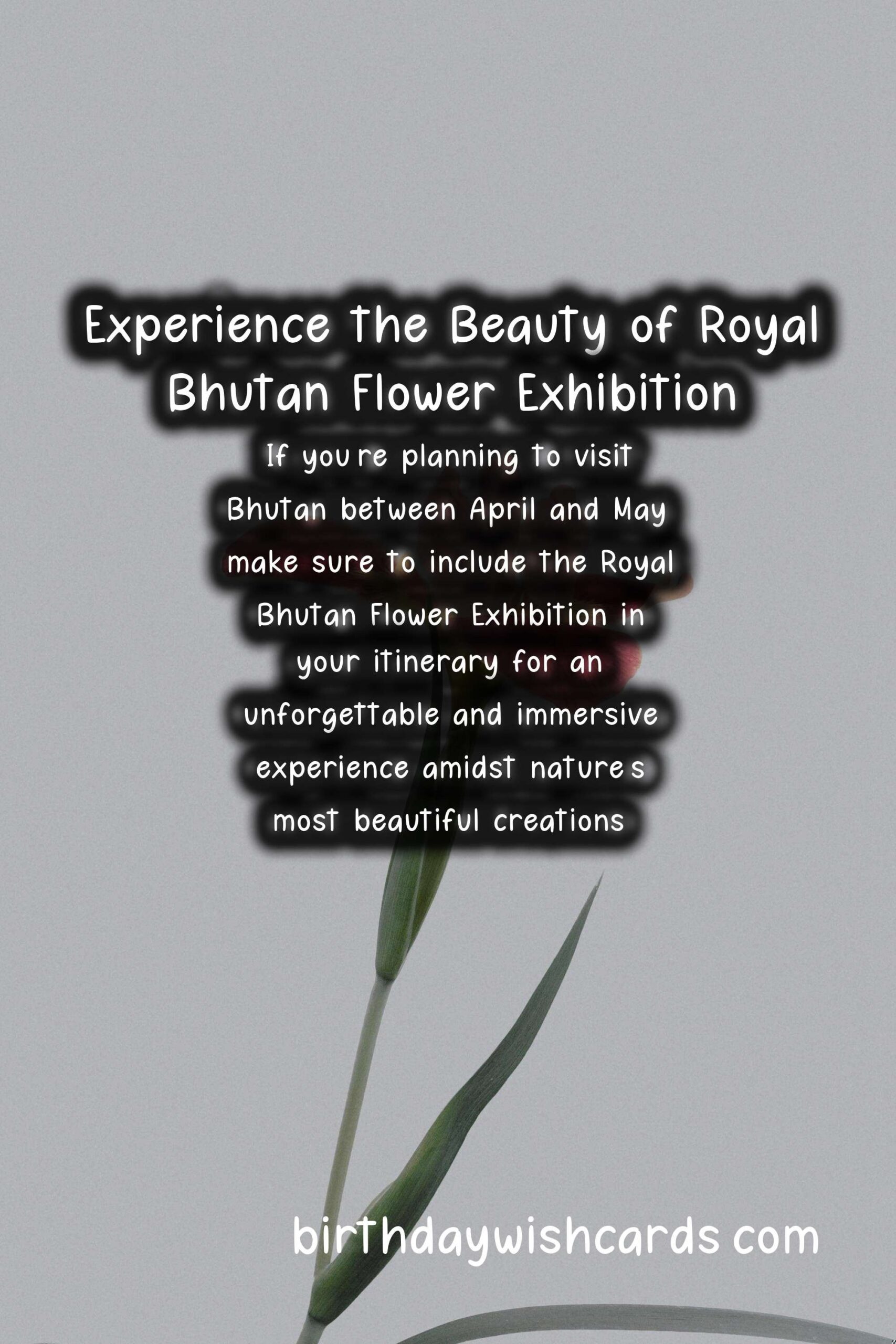 Experience the Beauty of Royal Bhutan Flower Exhibition - April/May*