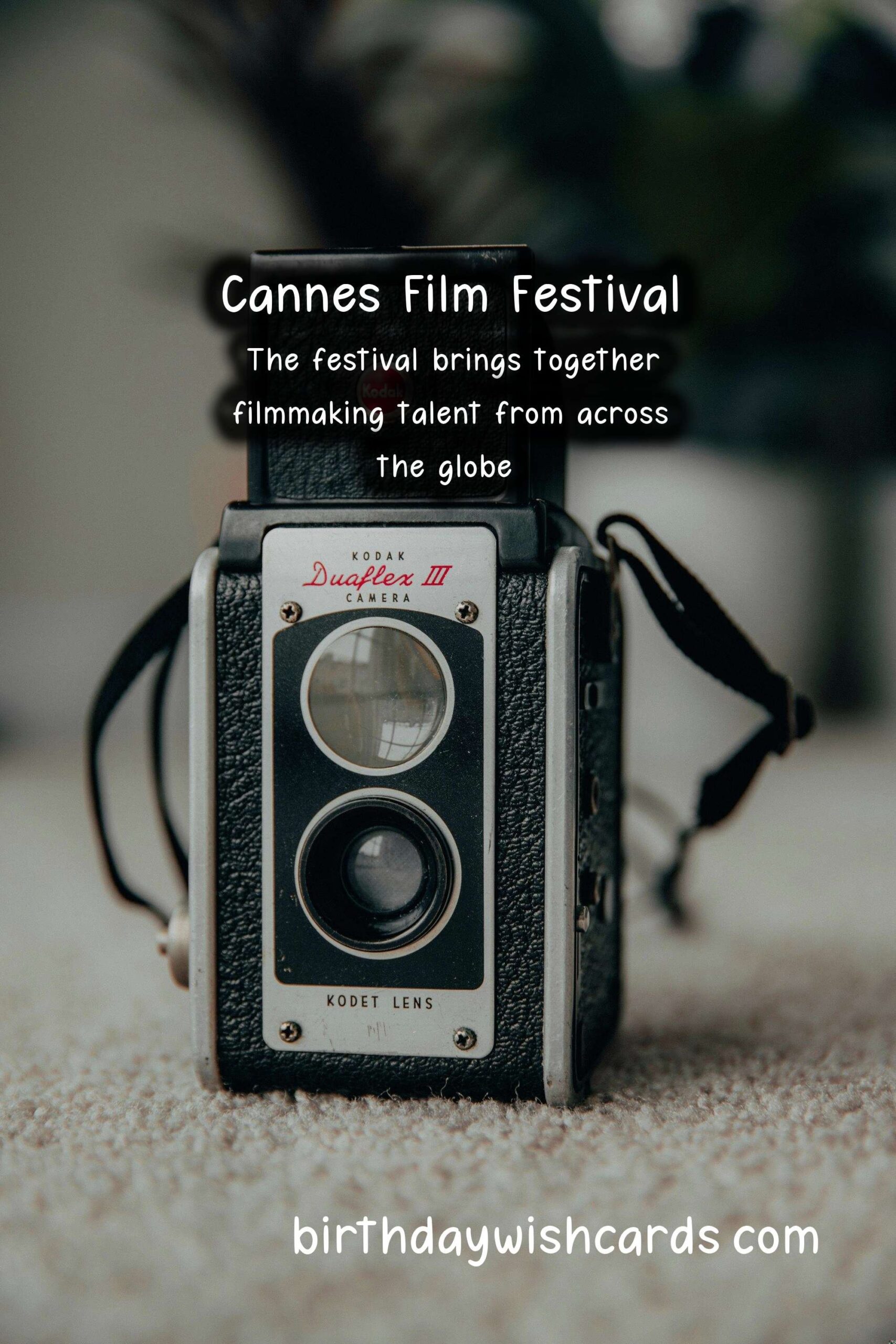 Experience the Glamour and Excitement at Cannes Film Festival
